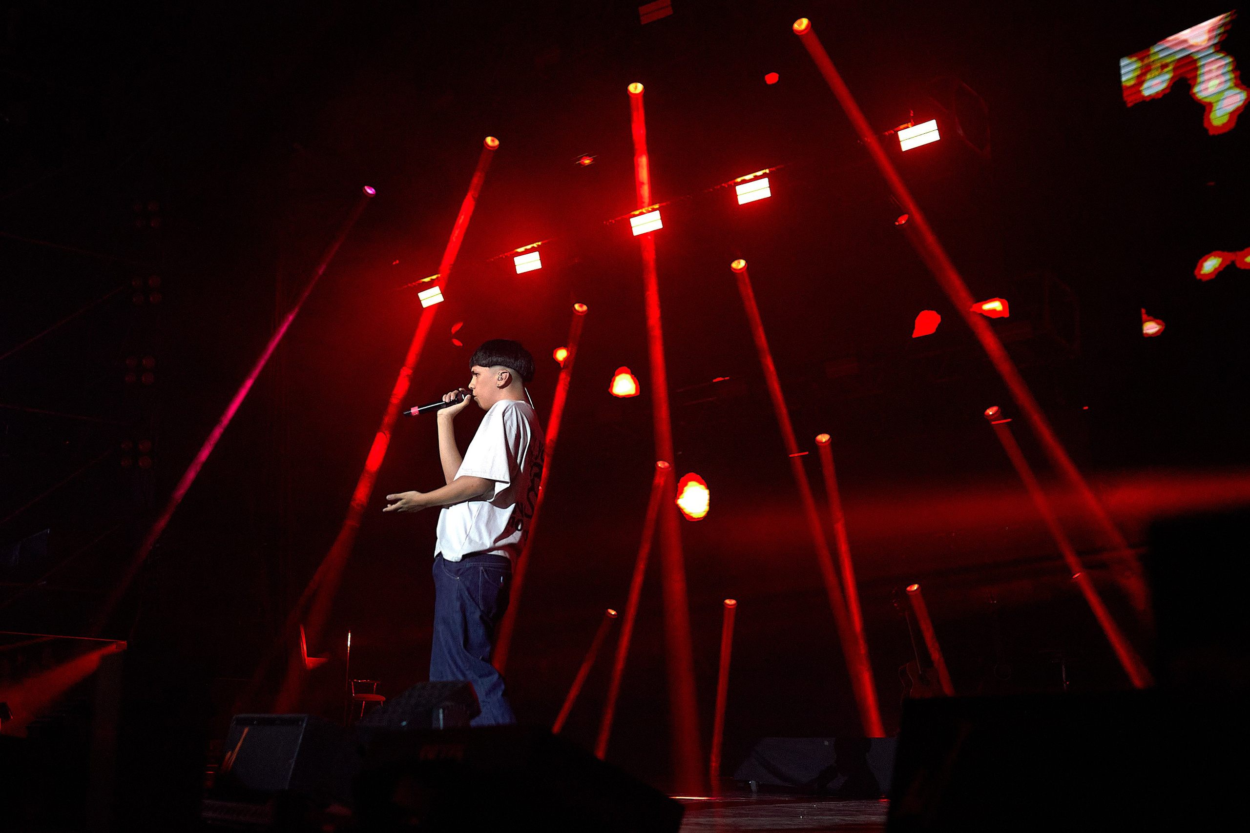 FESTIVAL DE PEÑAS | 2024. Marcos Ferrari Fotógrafo