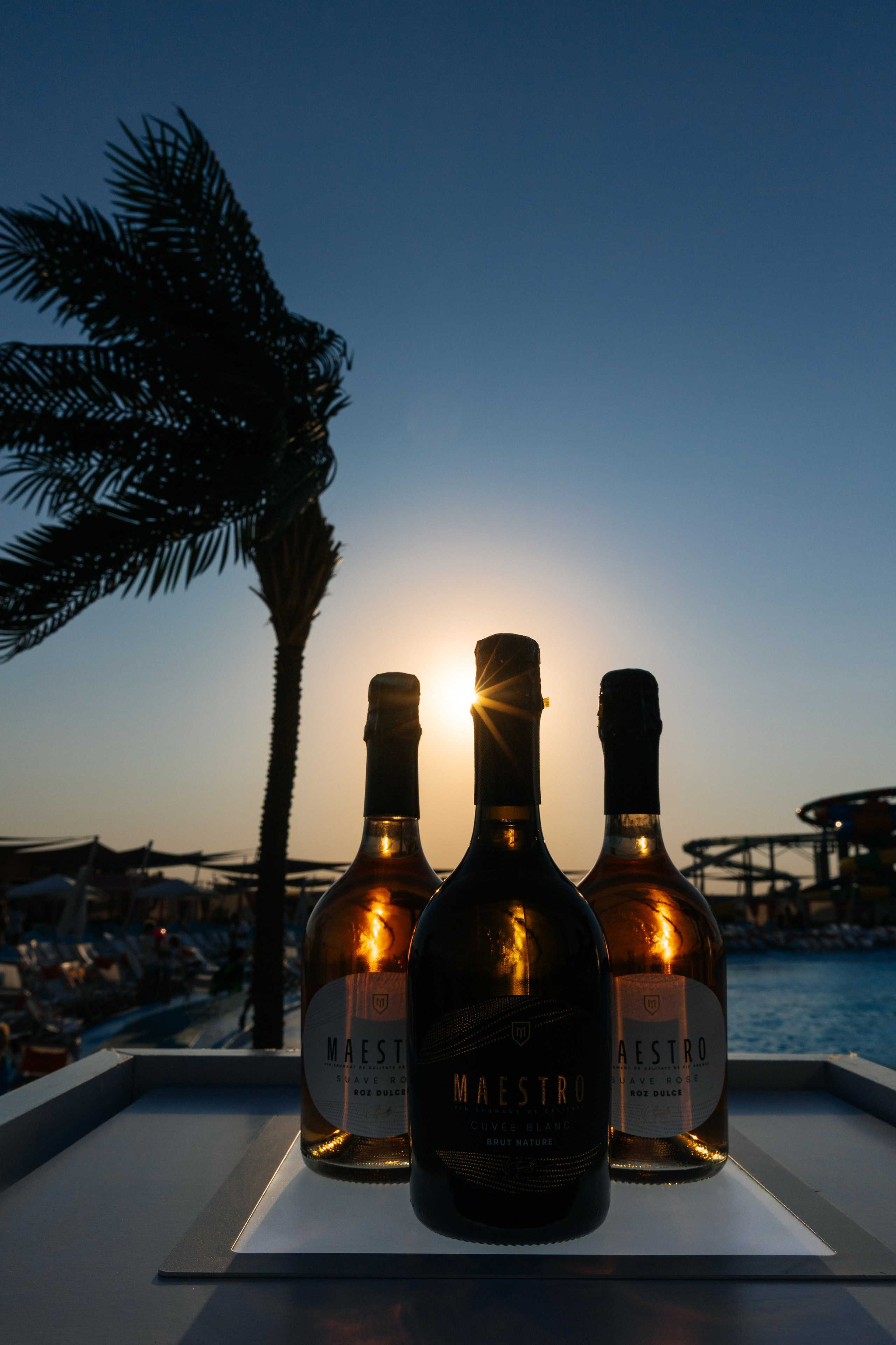 TOP SEXY — VIP MAGAZIN. Fulga Photographer