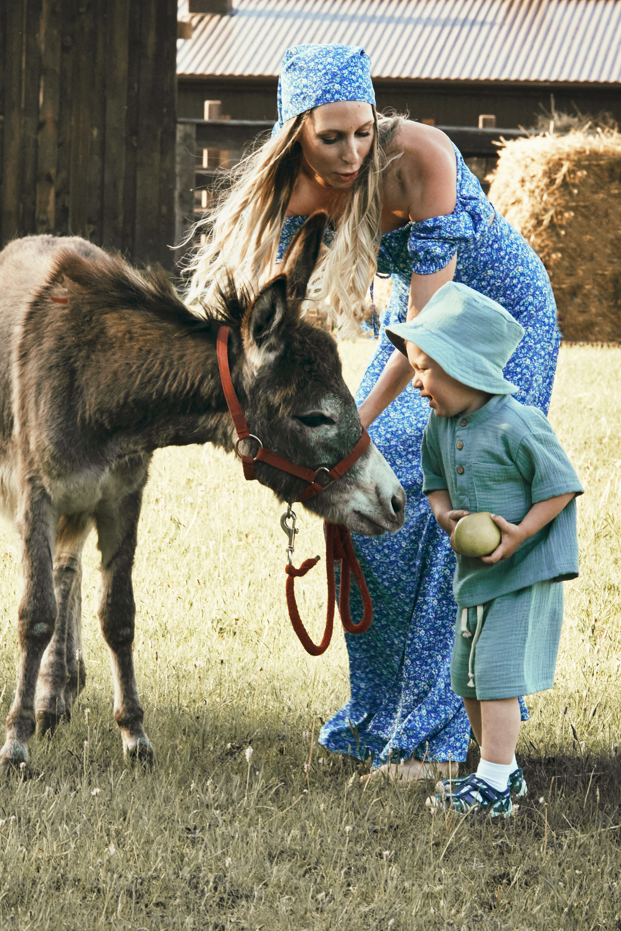 Зелёное яблоко. Фотограф в Барселоне Жанна Захарченко