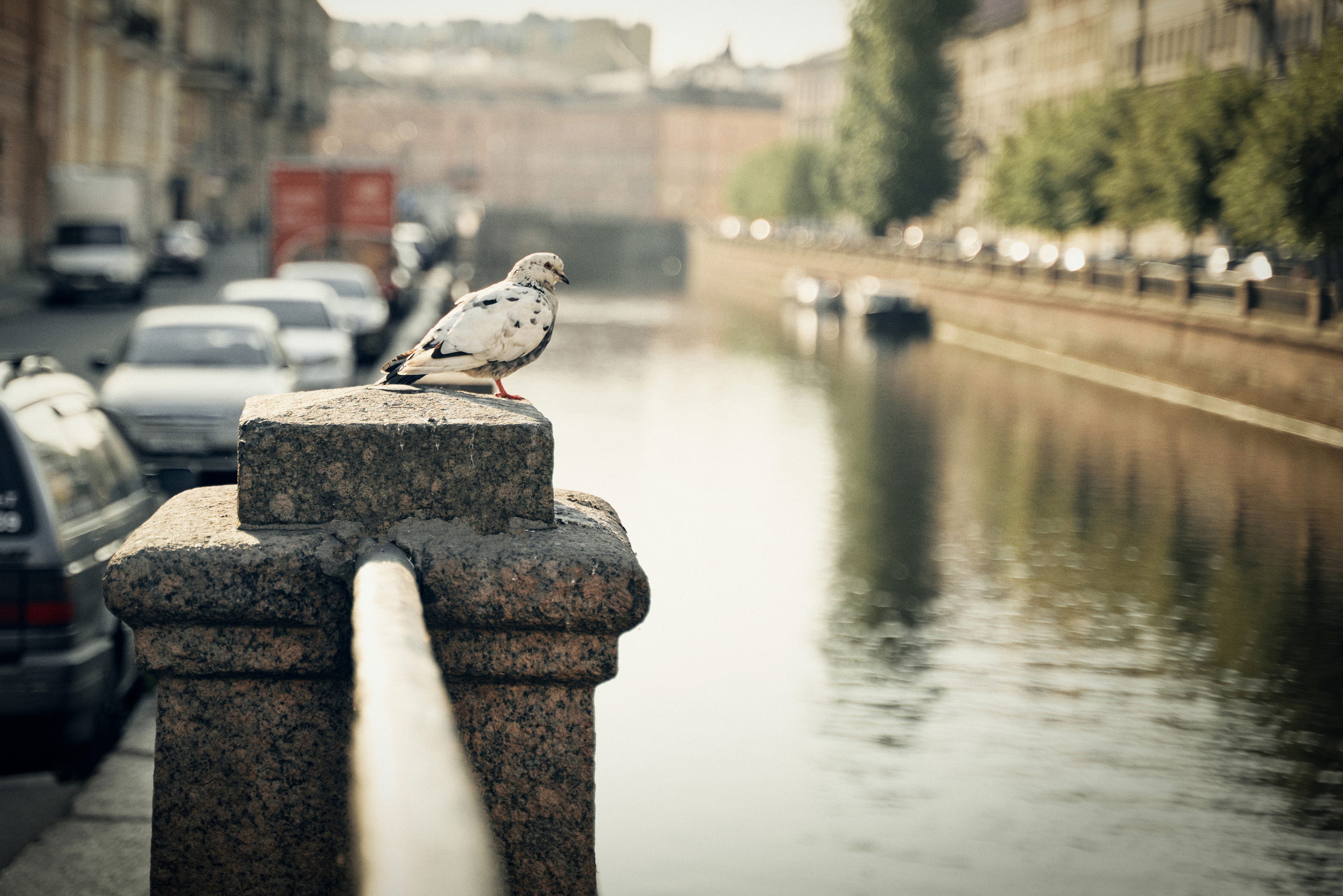 Санкт-Петербург. Россия. Фотограф в Барселоне Жанна Захарченко