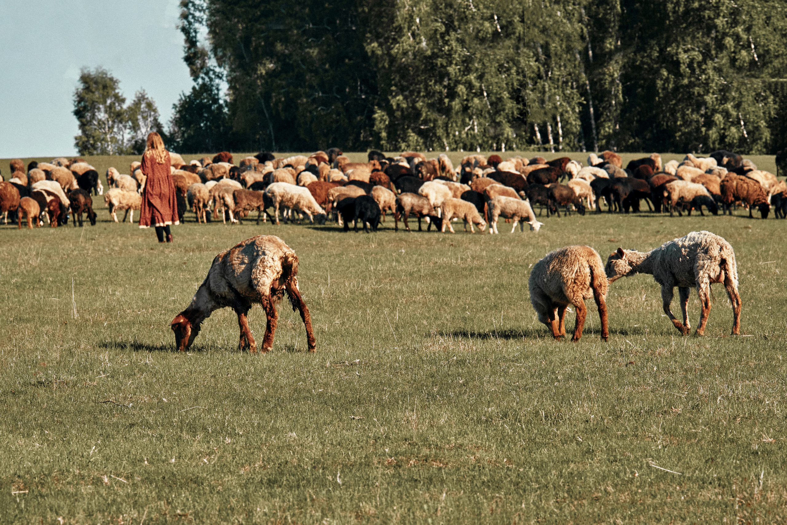 Одно утро. Татьяна. Фотограф в Барселоне Жанна Захарченко