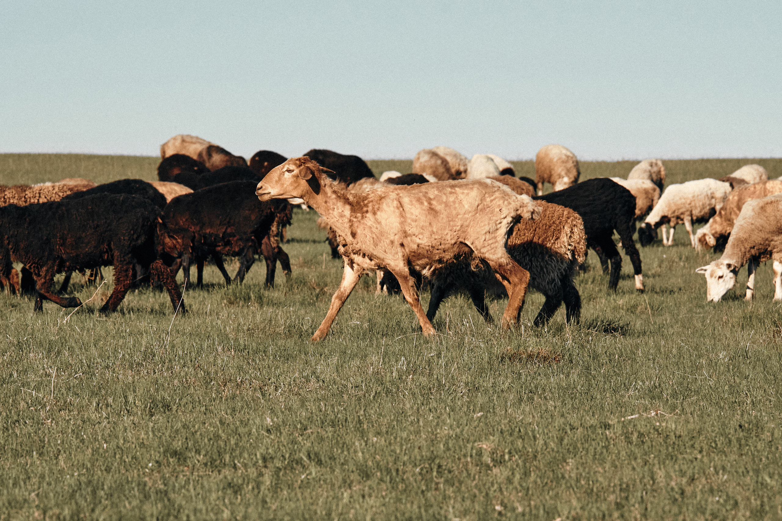 Одно утро. Татьяна. Фотограф в Барселоне Жанна Захарченко