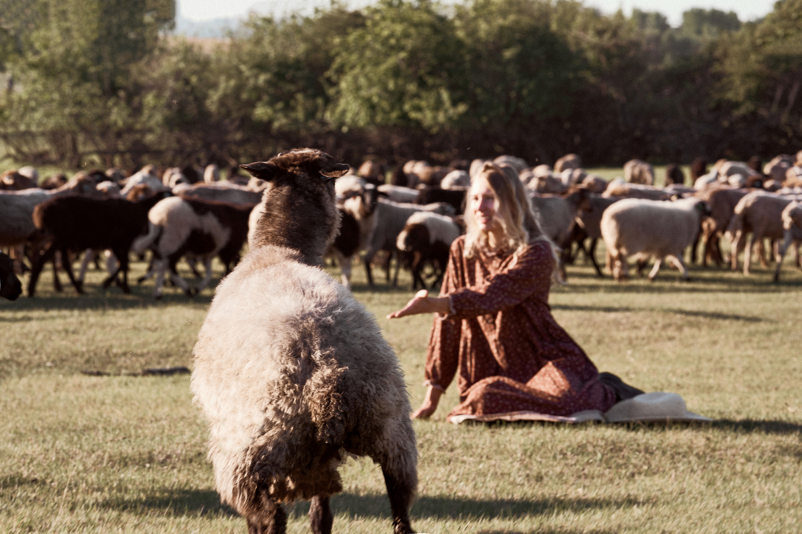 Одно утро. Татьяна. Фотограф в Барселоне Жанна Захарченко