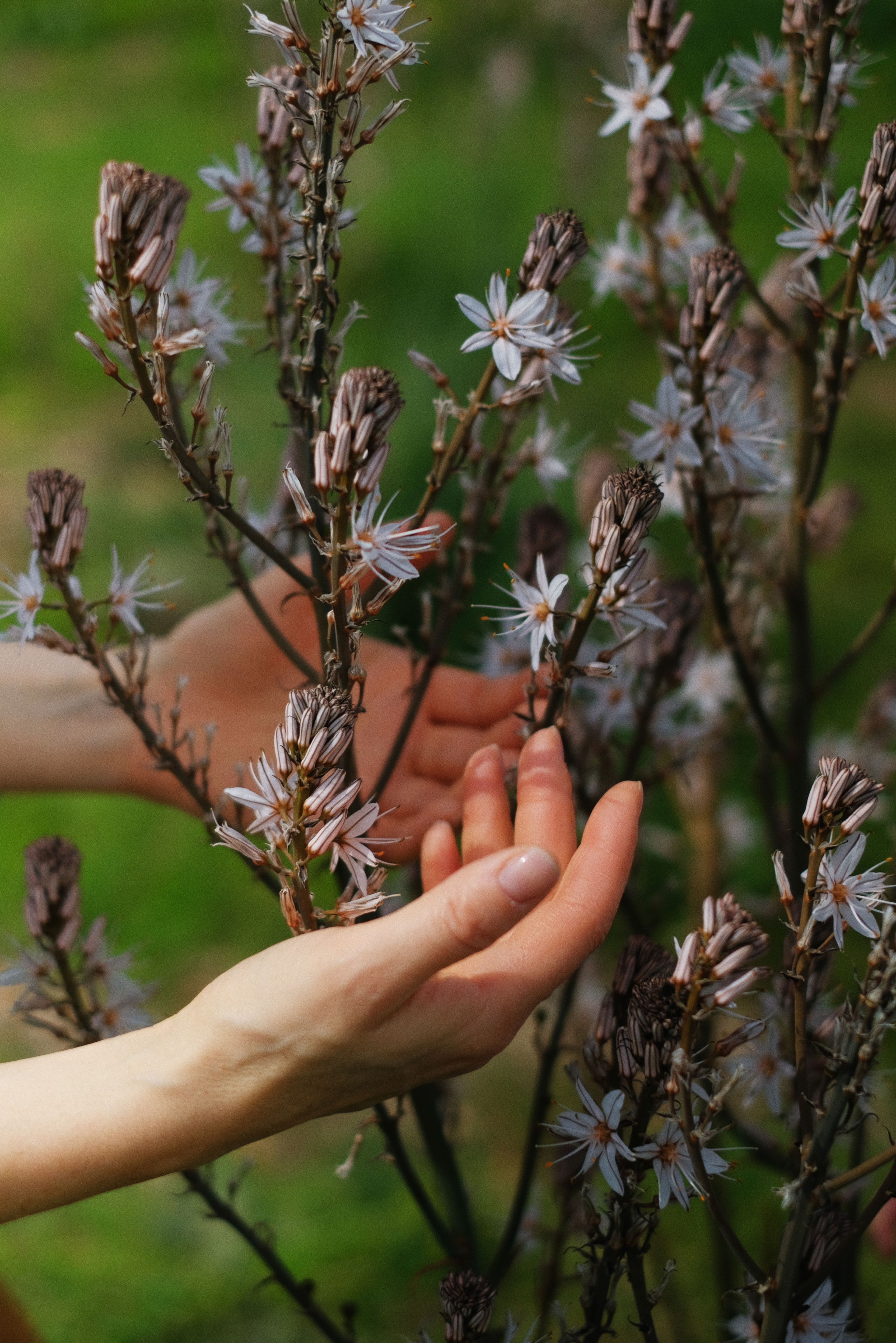 PORTRAİT. Фотограф в Турции Сиде Елена Туран
