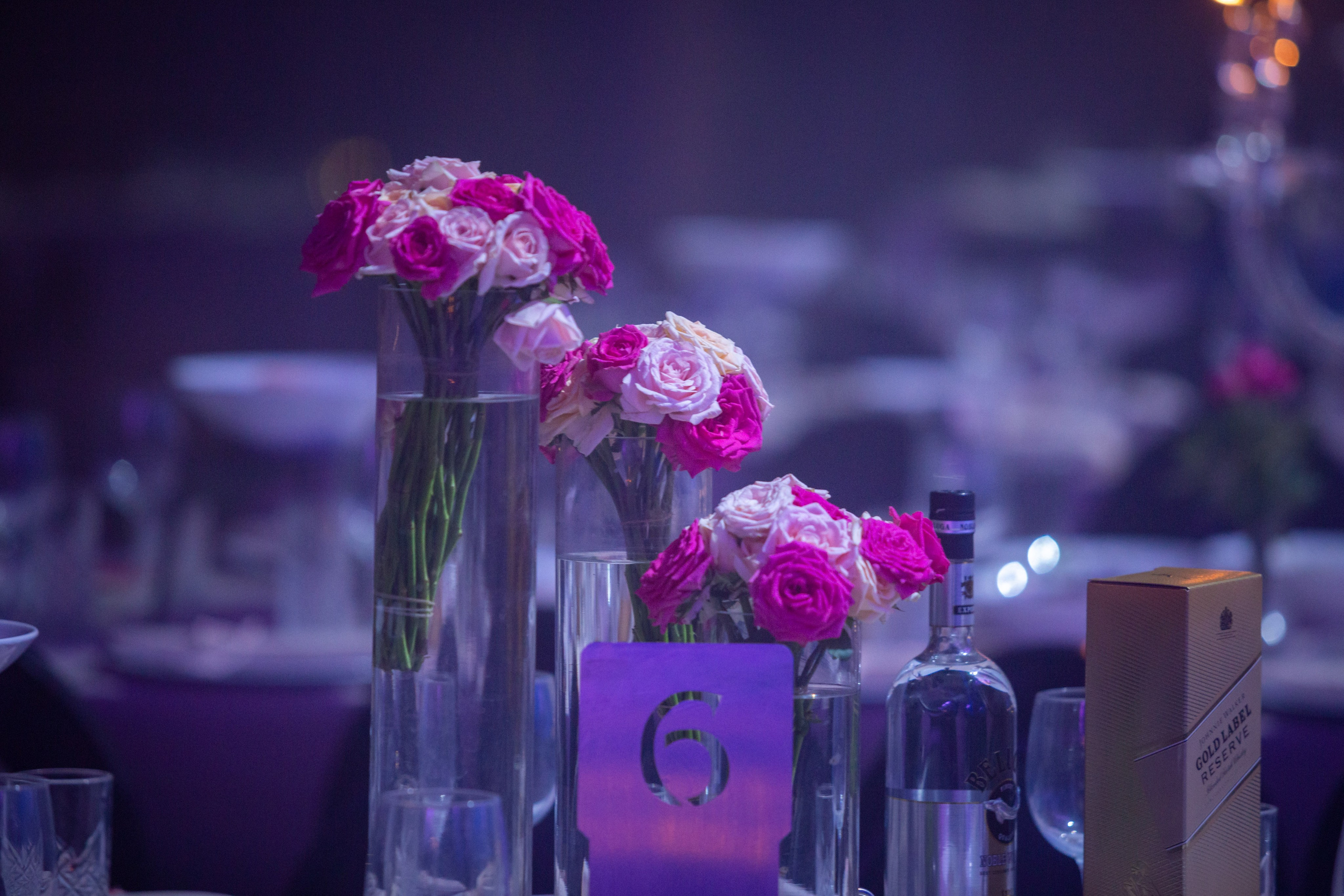 Bat Mitzvah Evelin. Wedding and events photographers Studio Shalom