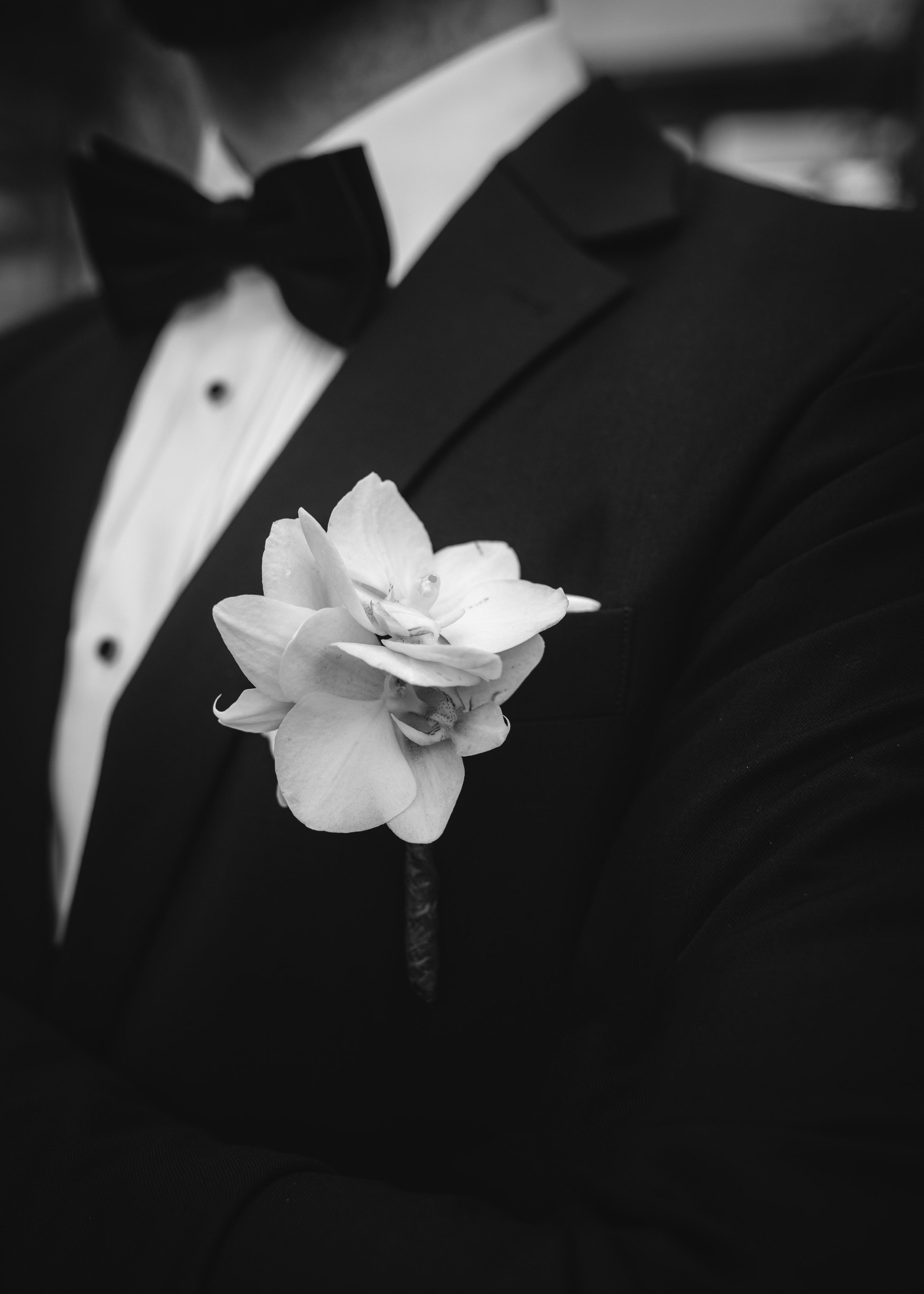 Vida | Martin. Professional wedding photographer in Copenhagen, Denmark — Julia Byron