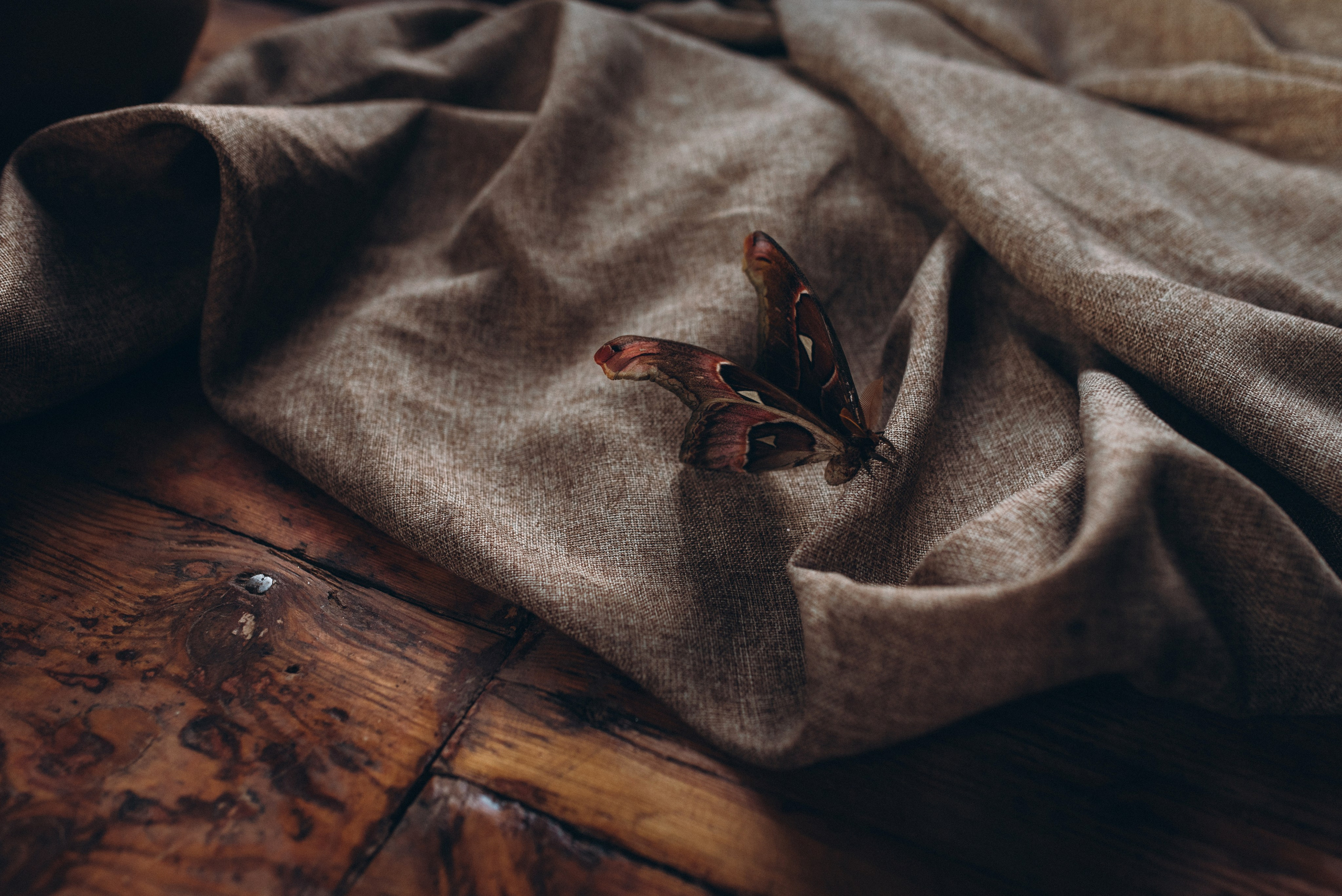 Diana & Slava. Familien- und Hochzeitsfotografin. Ich arbeite in Koblenz und Rheinlan