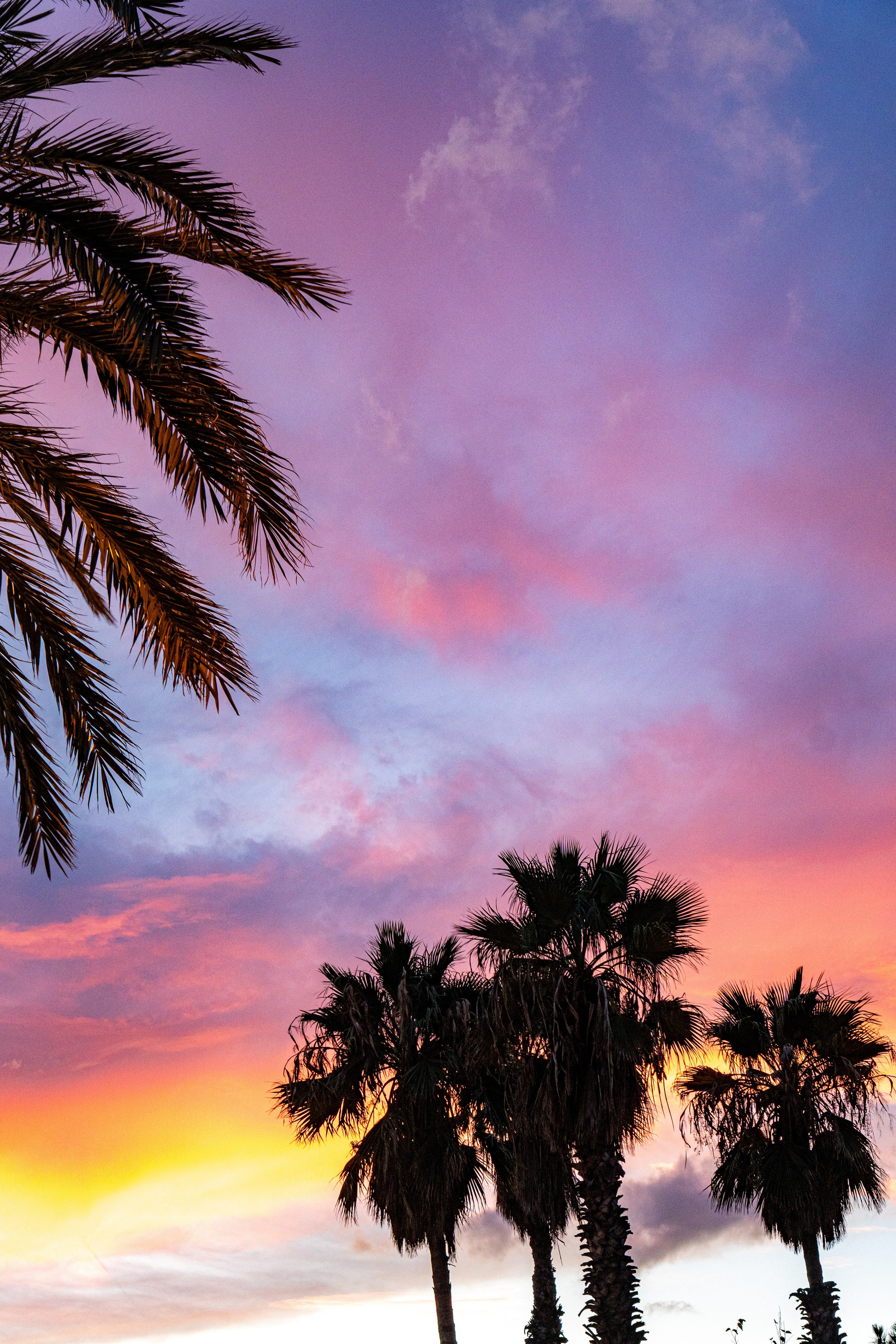 Throwback #5 / Streets of Barcelona (October 2023). URBANSTREETFILES.ART