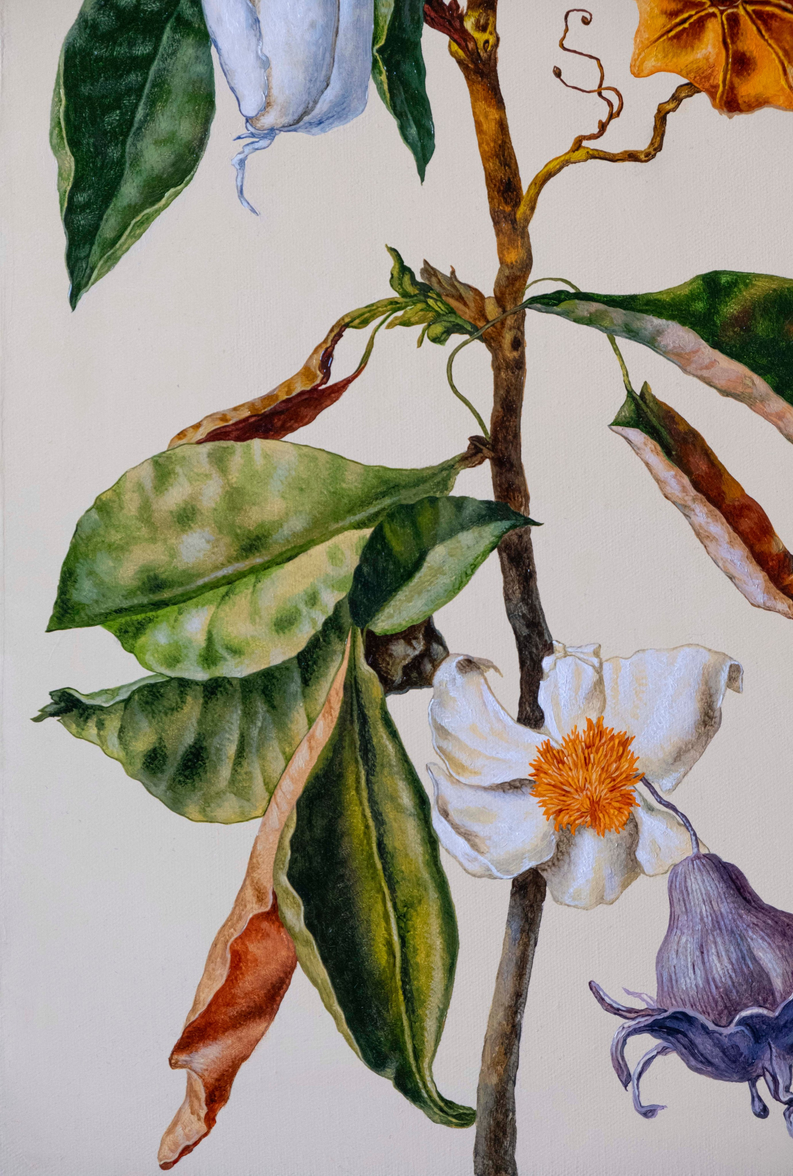Botanical Etude No. 8. ELEN BEZHEN