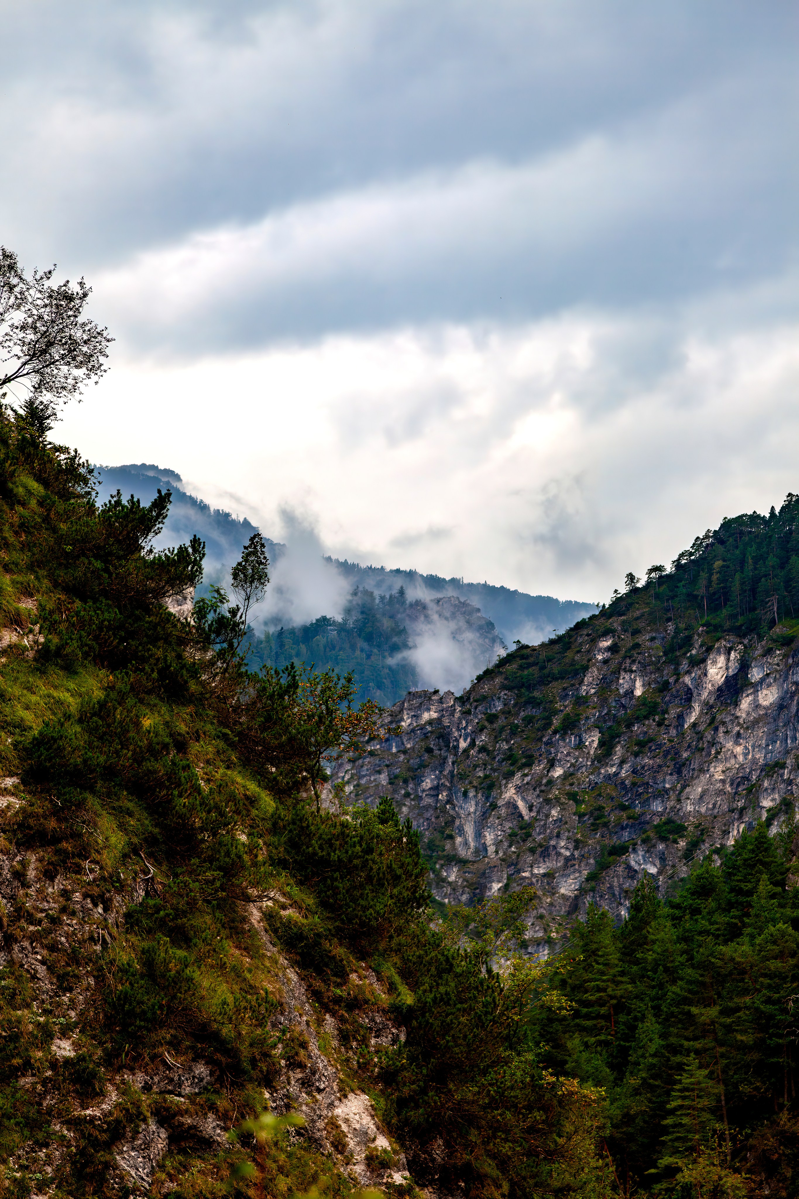 197.Ötscher Base Nature Park.Austria.21.8.2025. Путешествия в формате 360......