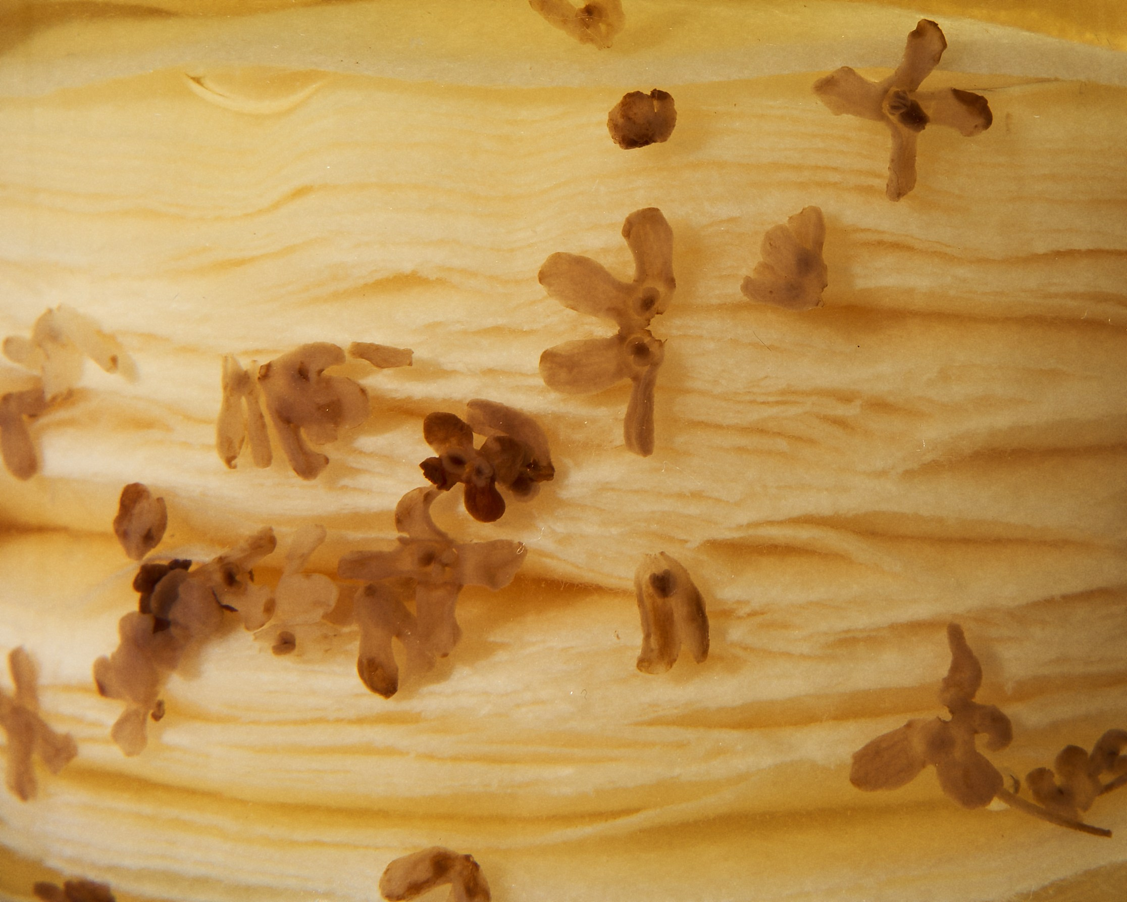 Косметика. Фотограф в Москве Айсылу Нафикова