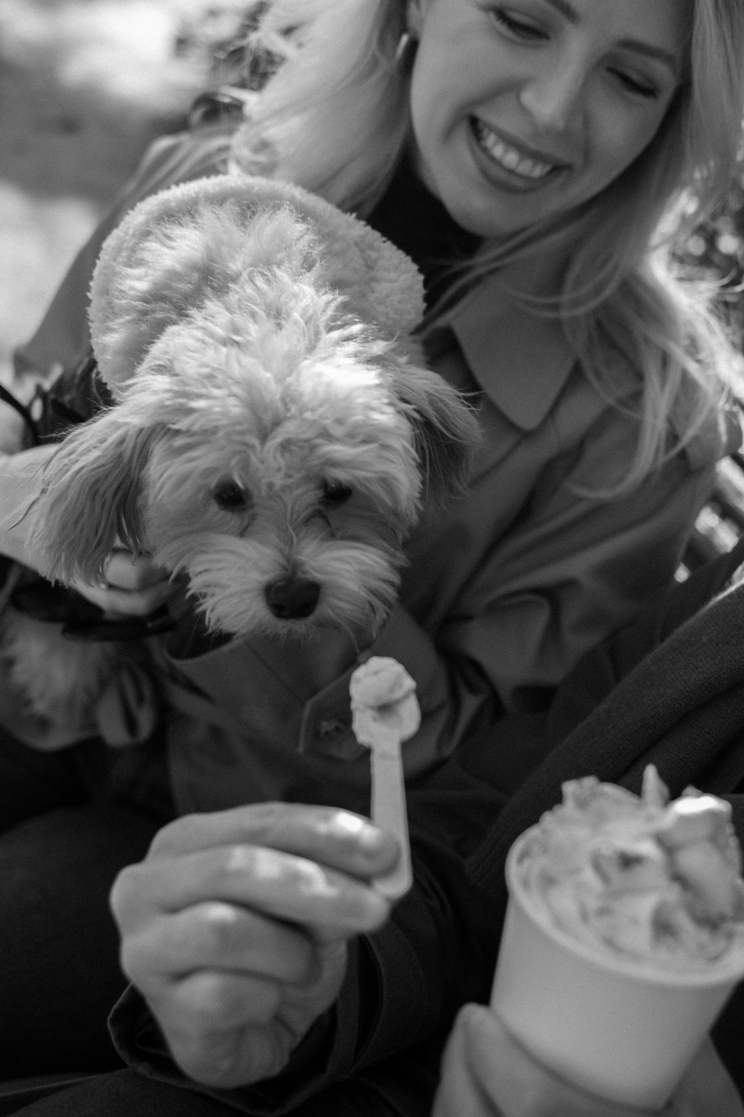 Barney, Nastya et Kolya. Photographe animalier à Paris Anna Pereira