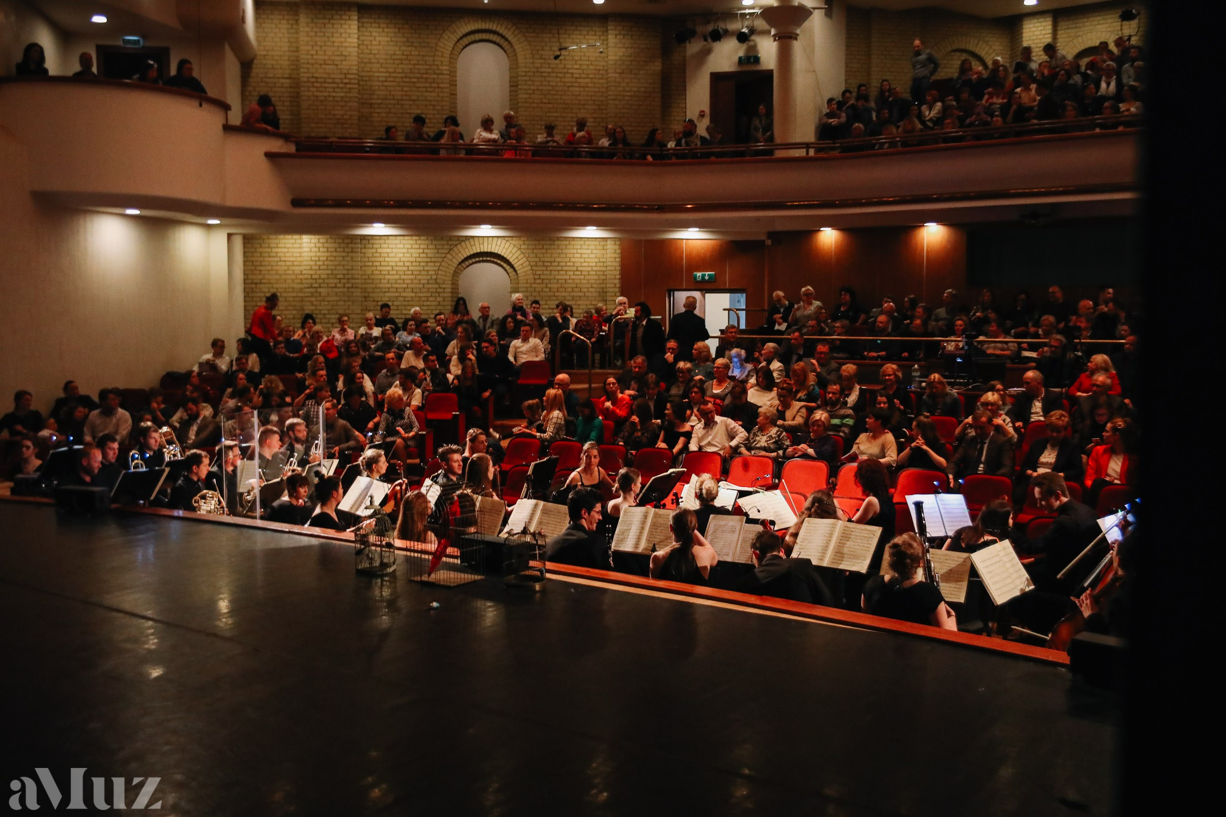 Opera Łąkowa. Fotograf Ślubny Warszawa - Sesje Biznesowe Rodzinne Eventy