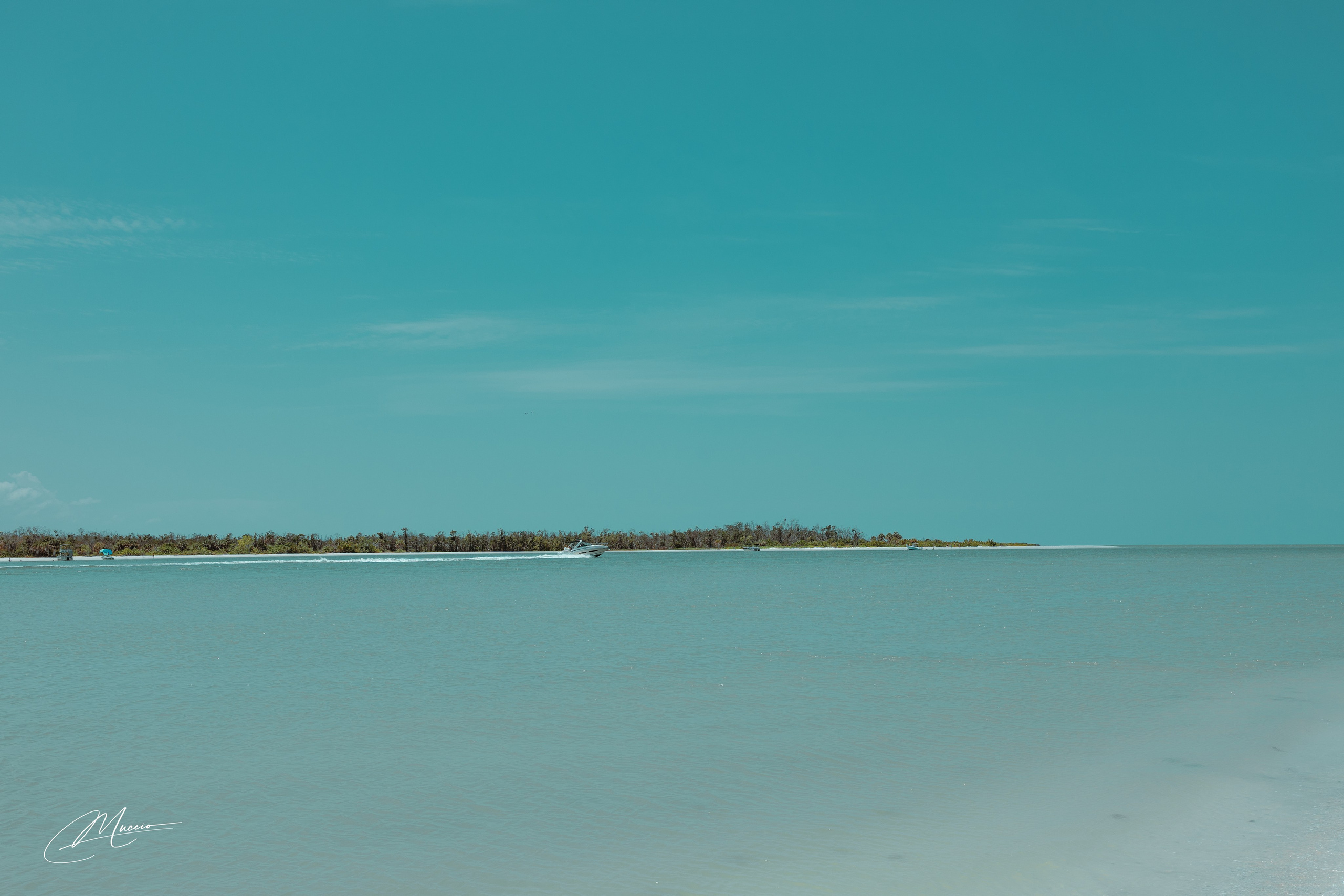 Fort Myers. Out and About 239