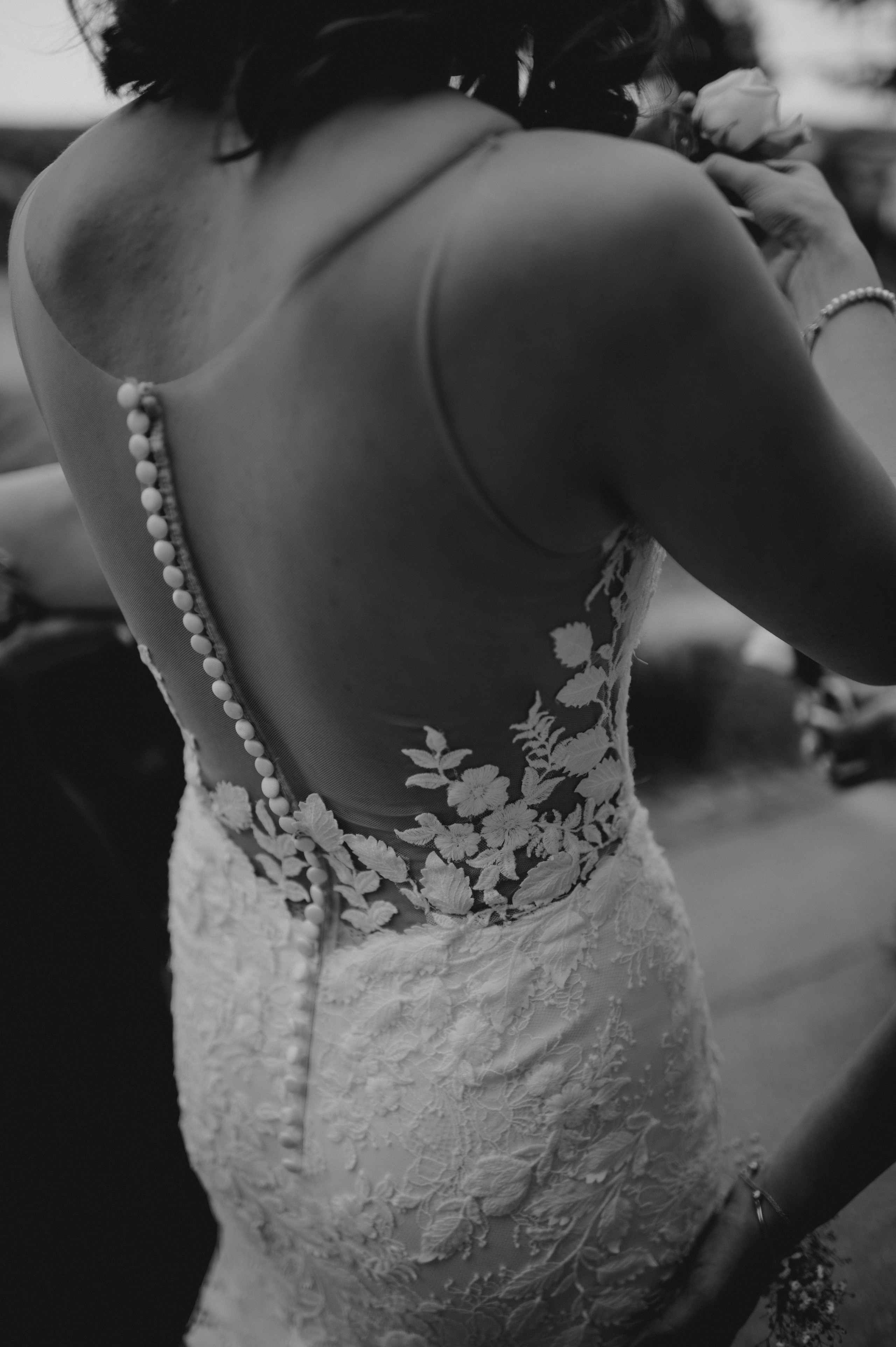 Iva & Miloš. Ana Sladojevic