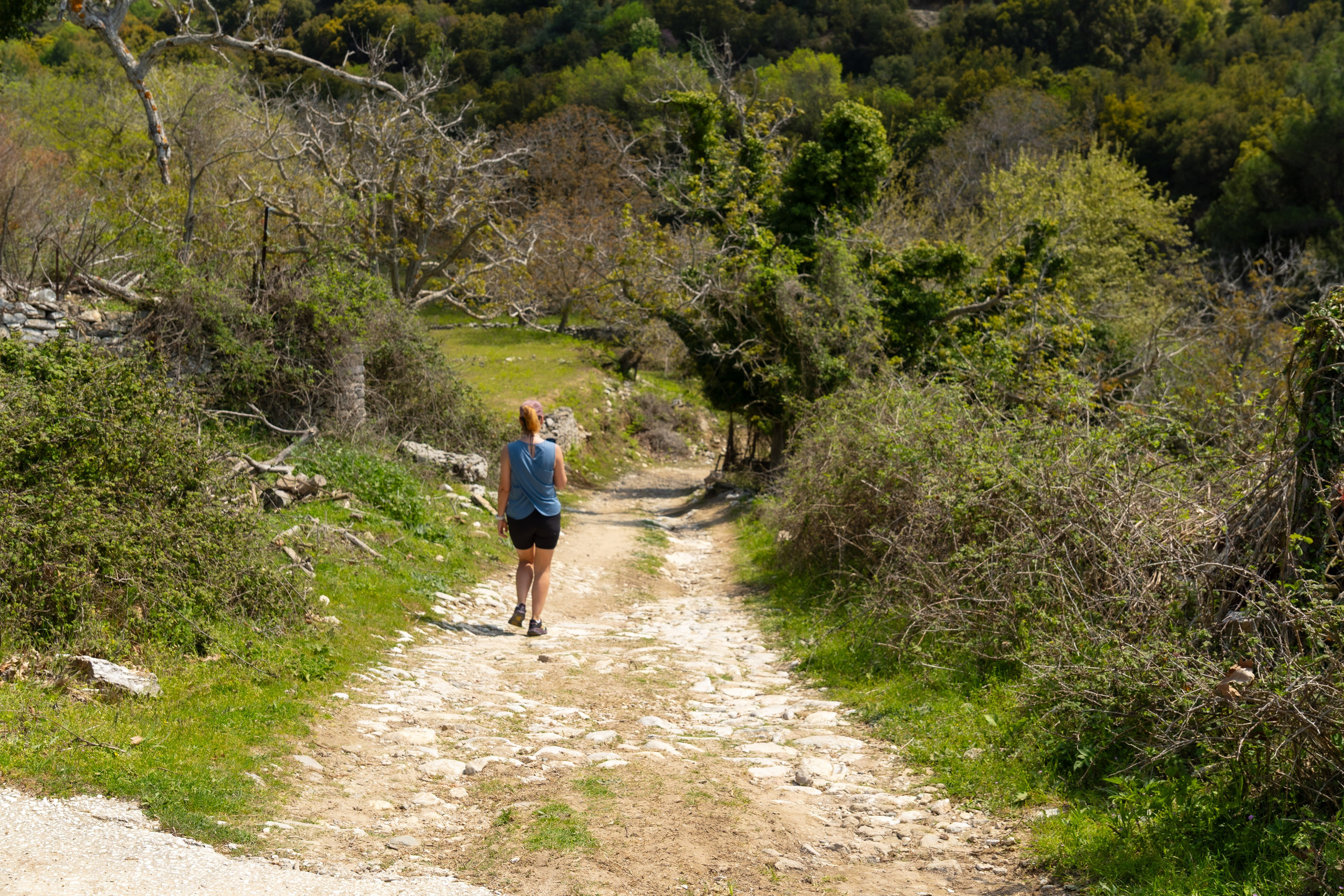 Thasos 2025. Fotografiideplacere.net