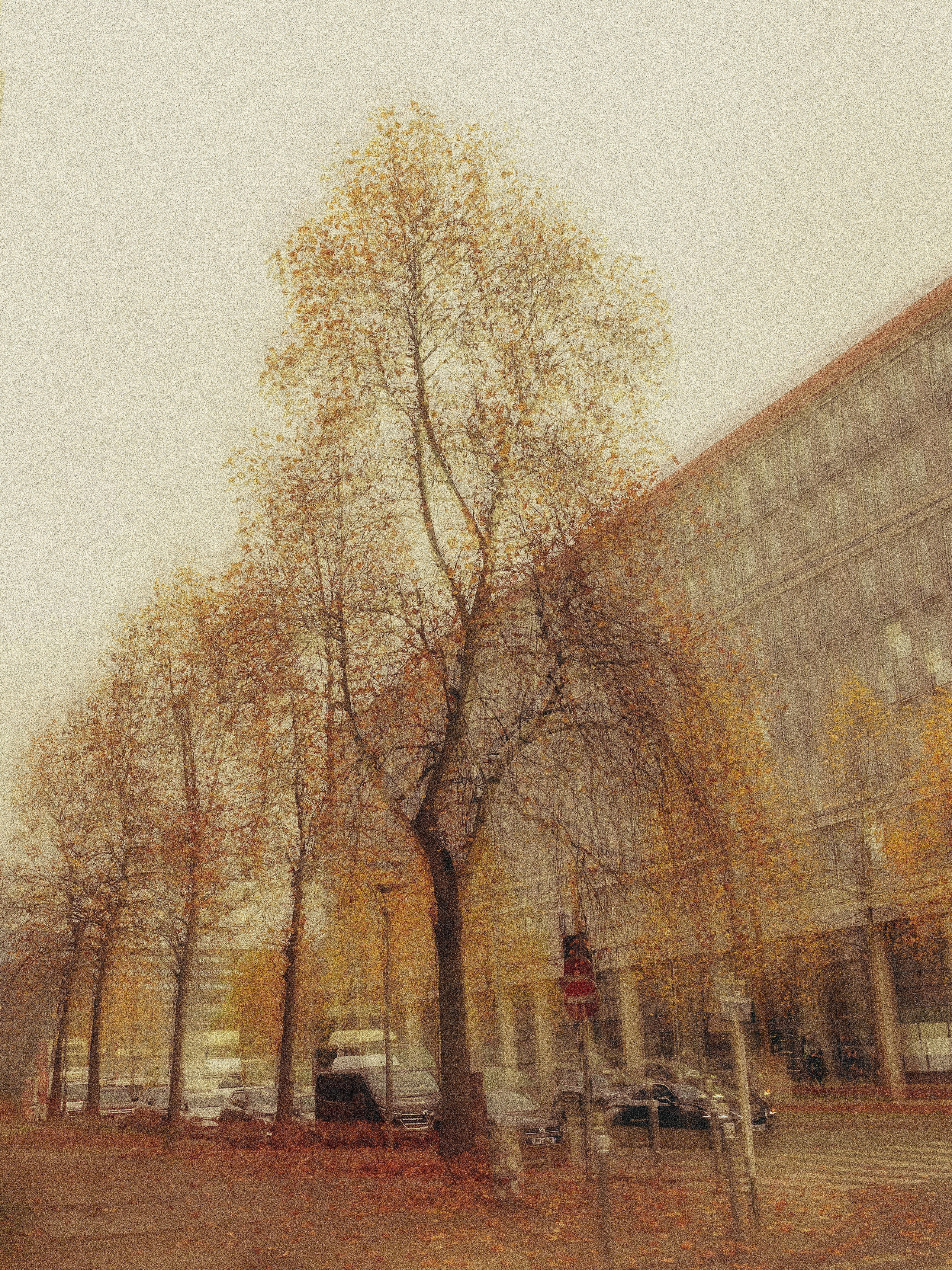 ОДИНОЧНЫЕ РАБОТЫ