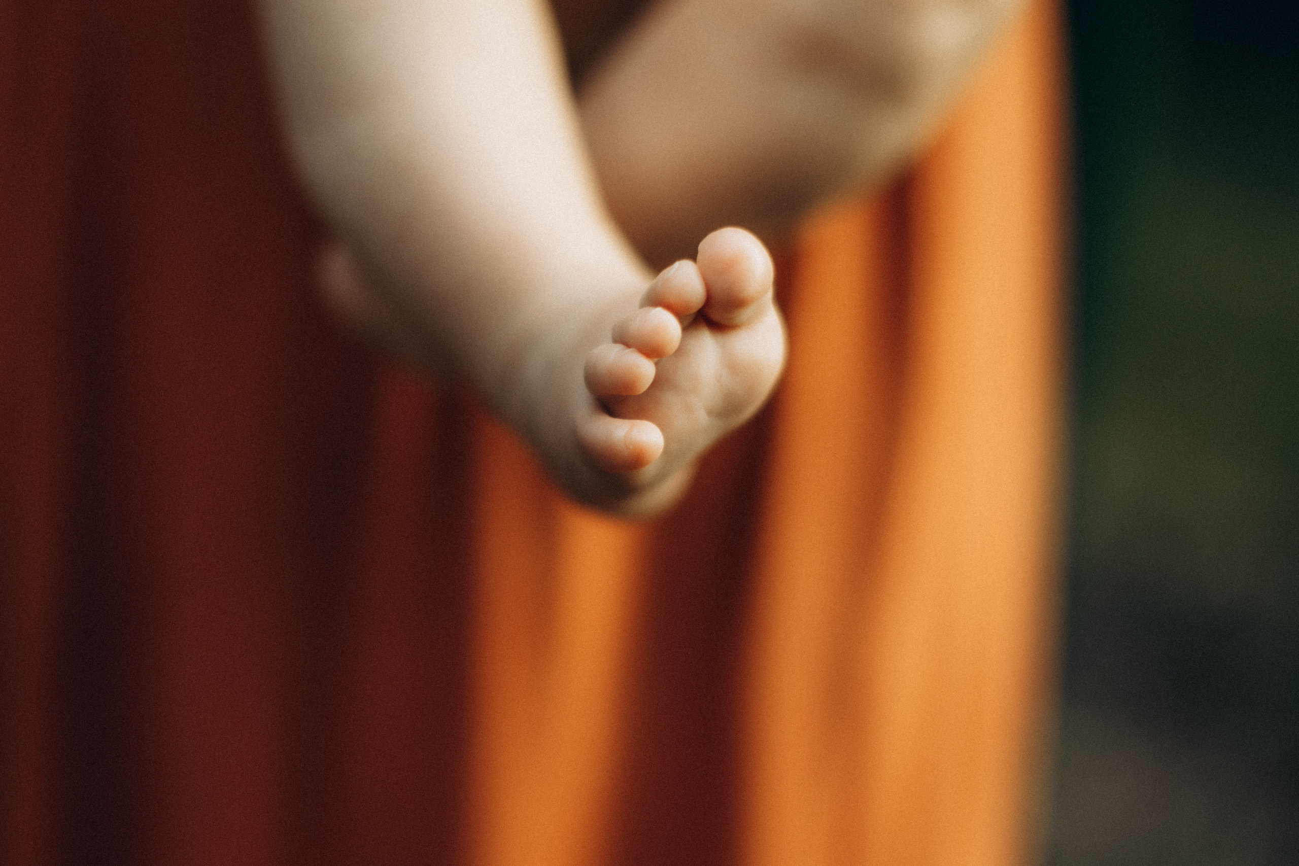 The Woods. CAPTURED BY SHANKS PHOTOGRAPHY