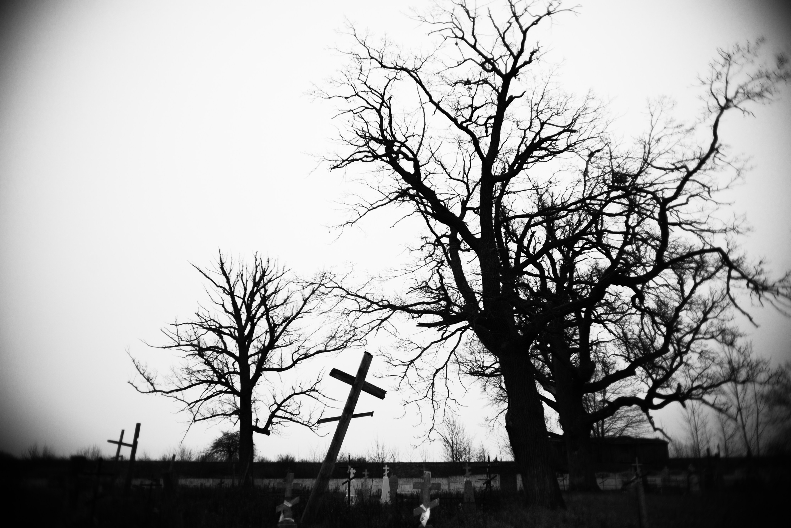 What the Body Remembers