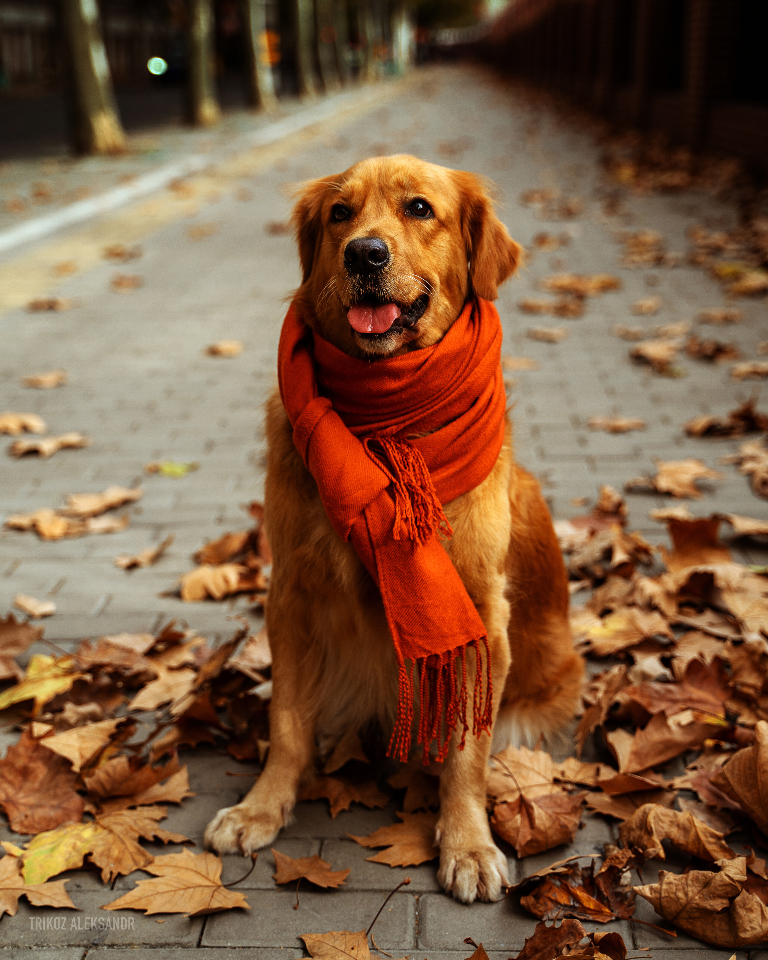Photographer in Shanghai Aleksandr Trikoz