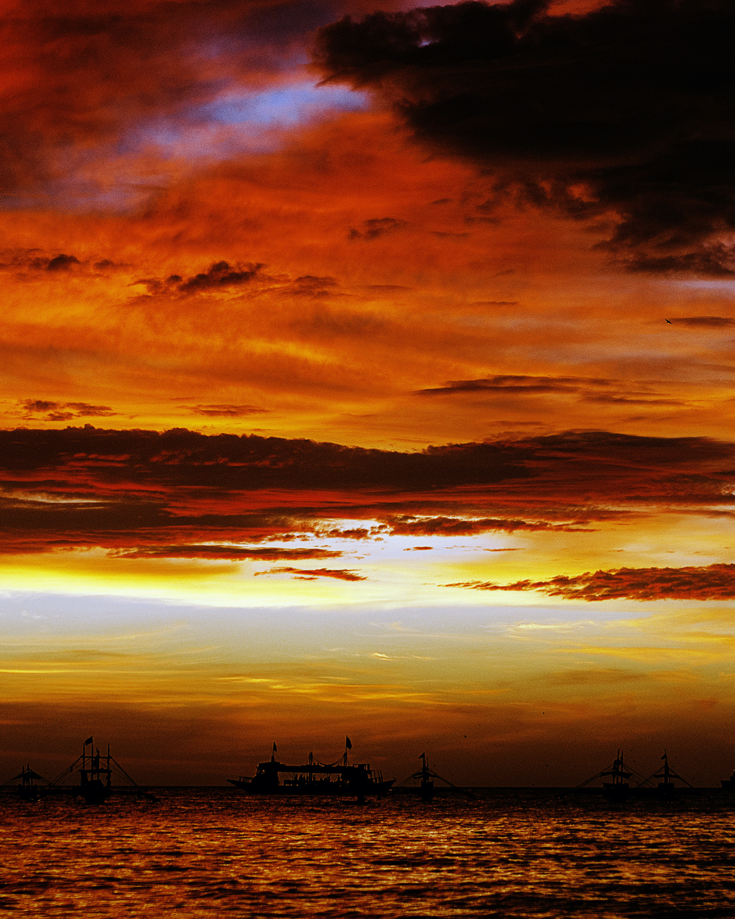 Photographer in Shanghai Aleksandr Trikoz