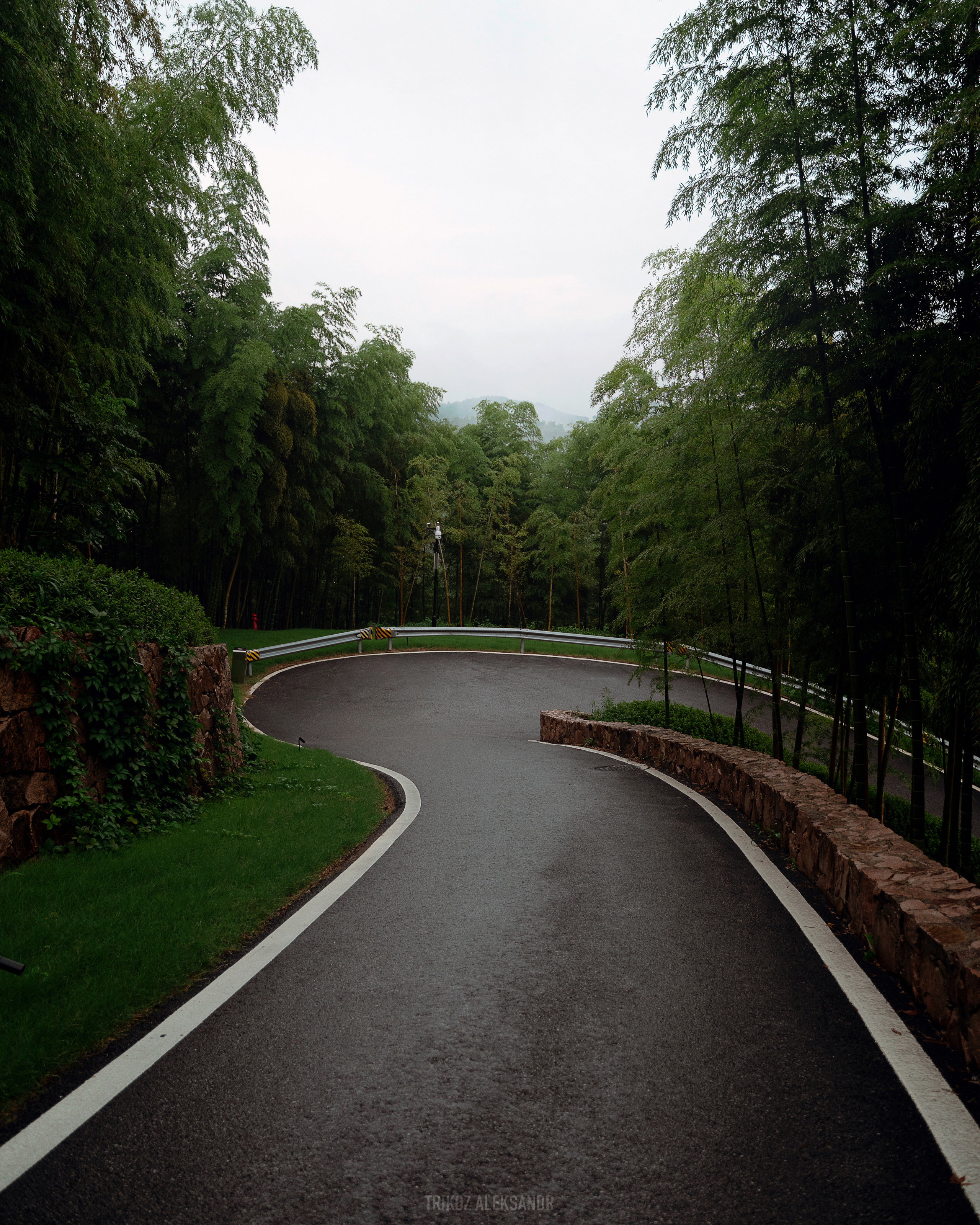 Photographer in Shanghai Aleksandr Trikoz