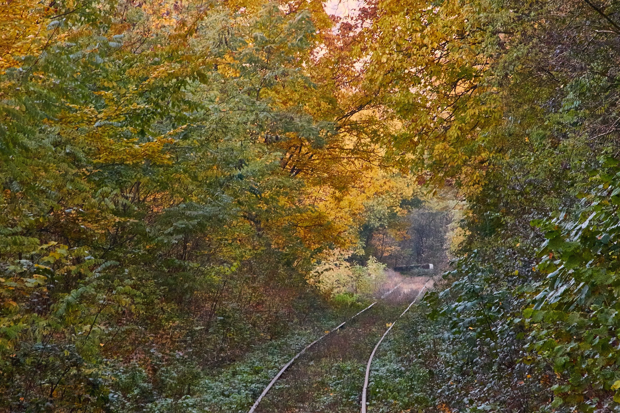 Toamna pe calea ferată Oravița-Anina, jud. Caraș-Severin. Pagina principală