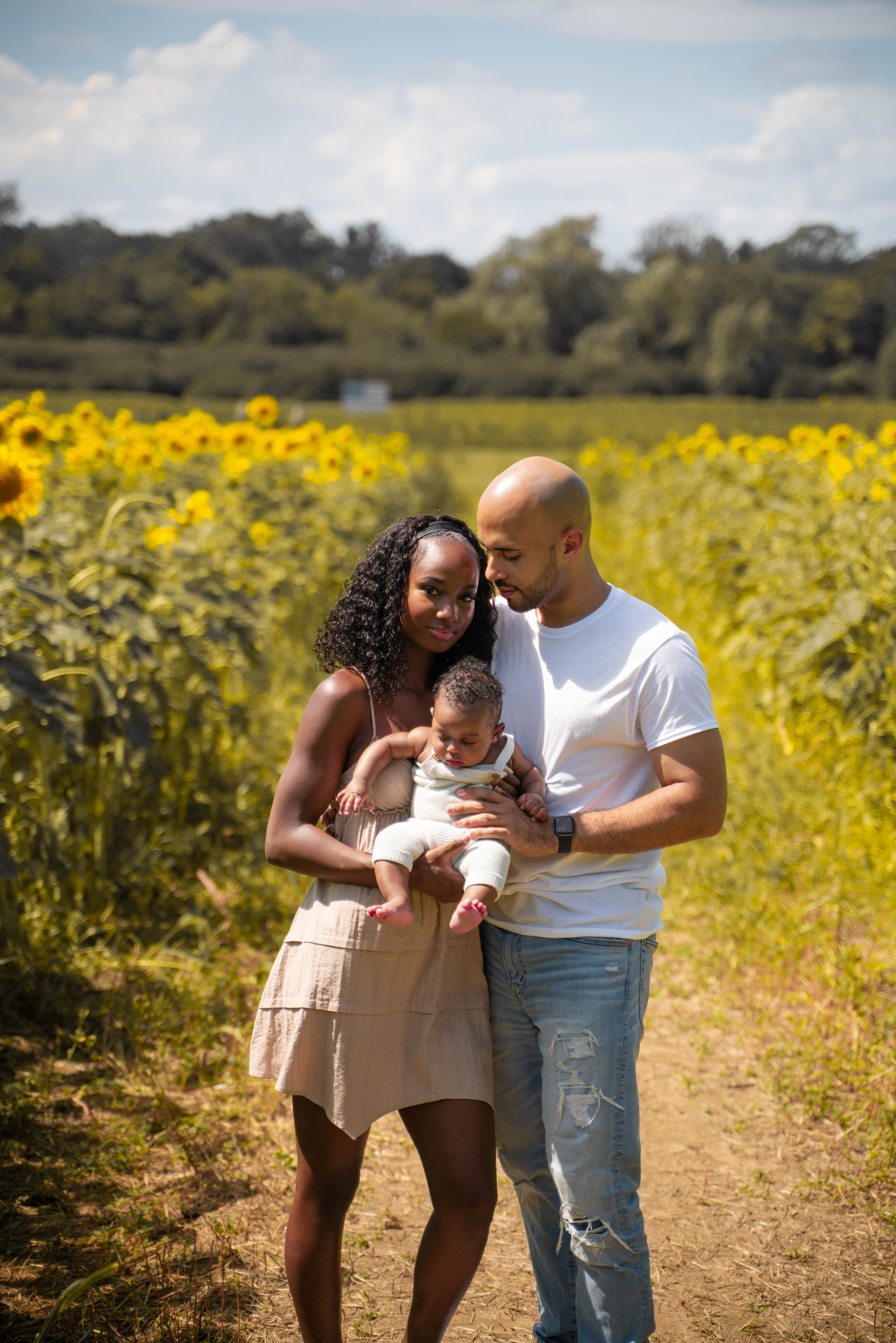 Jennifer and Louis at Sunflowers Farm. Stefanovich Photography | Boston, MA