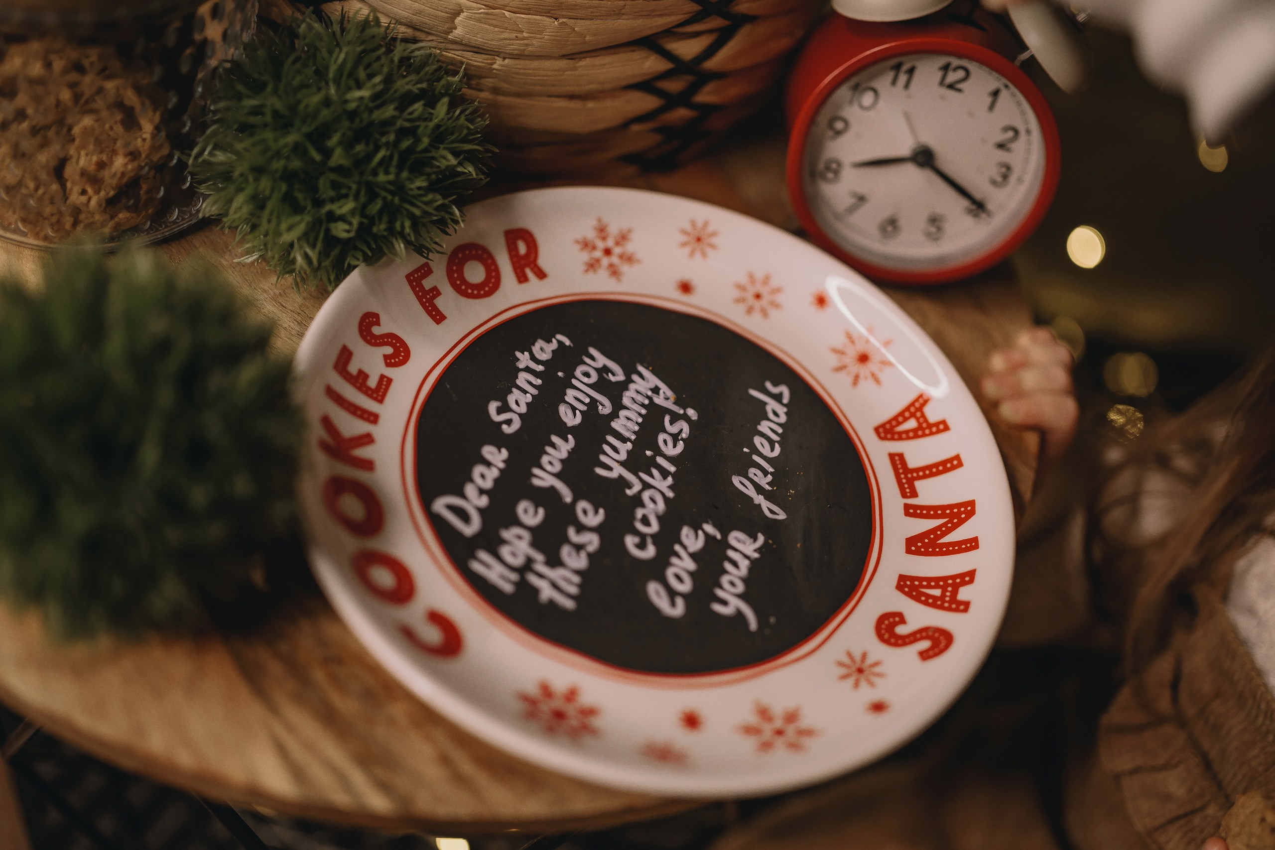 11.26.2025 Christmas Photoshoot. Wedding family event photographer in Chicago Nick Yushevich