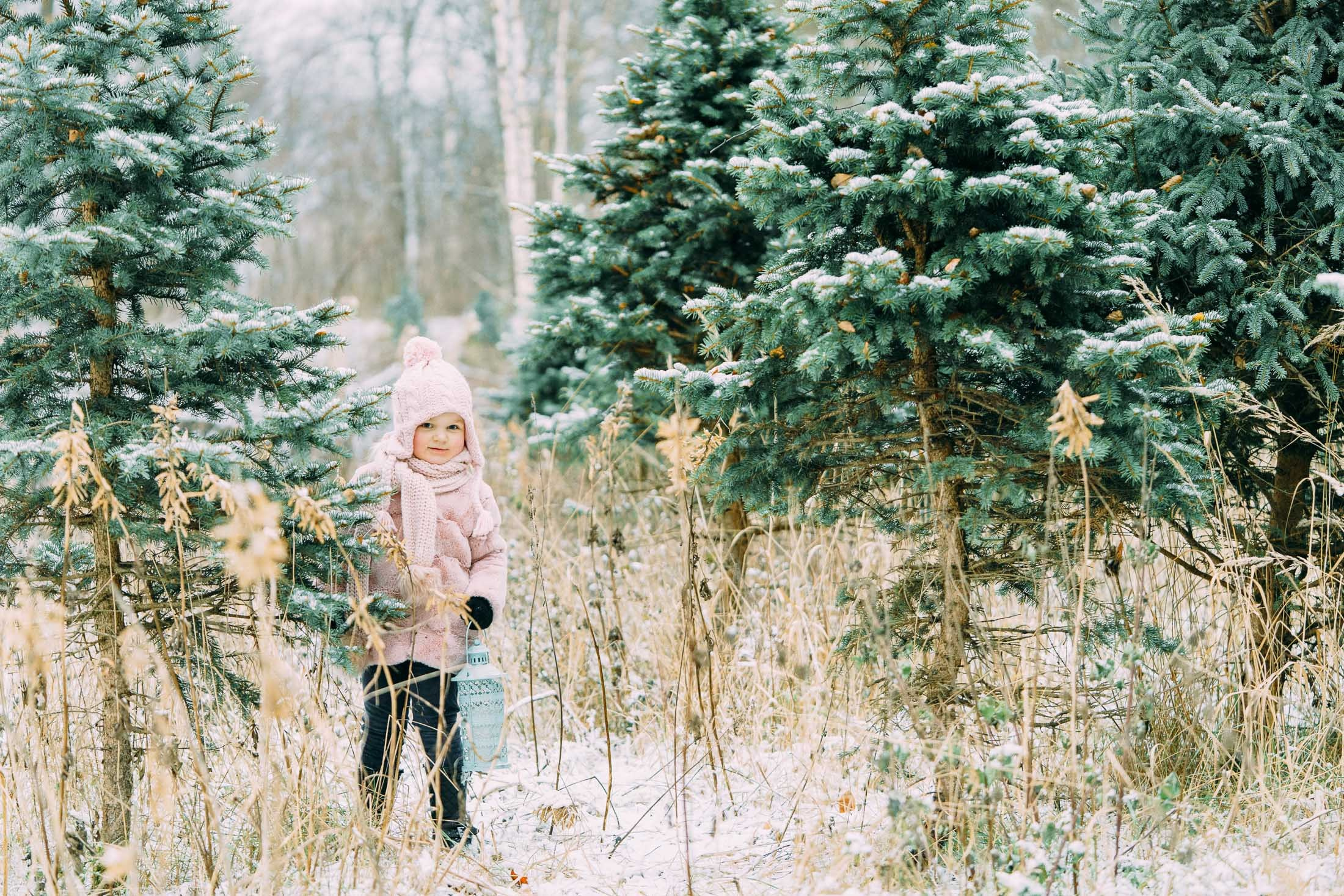Joulukorttikuvaus miljöössä