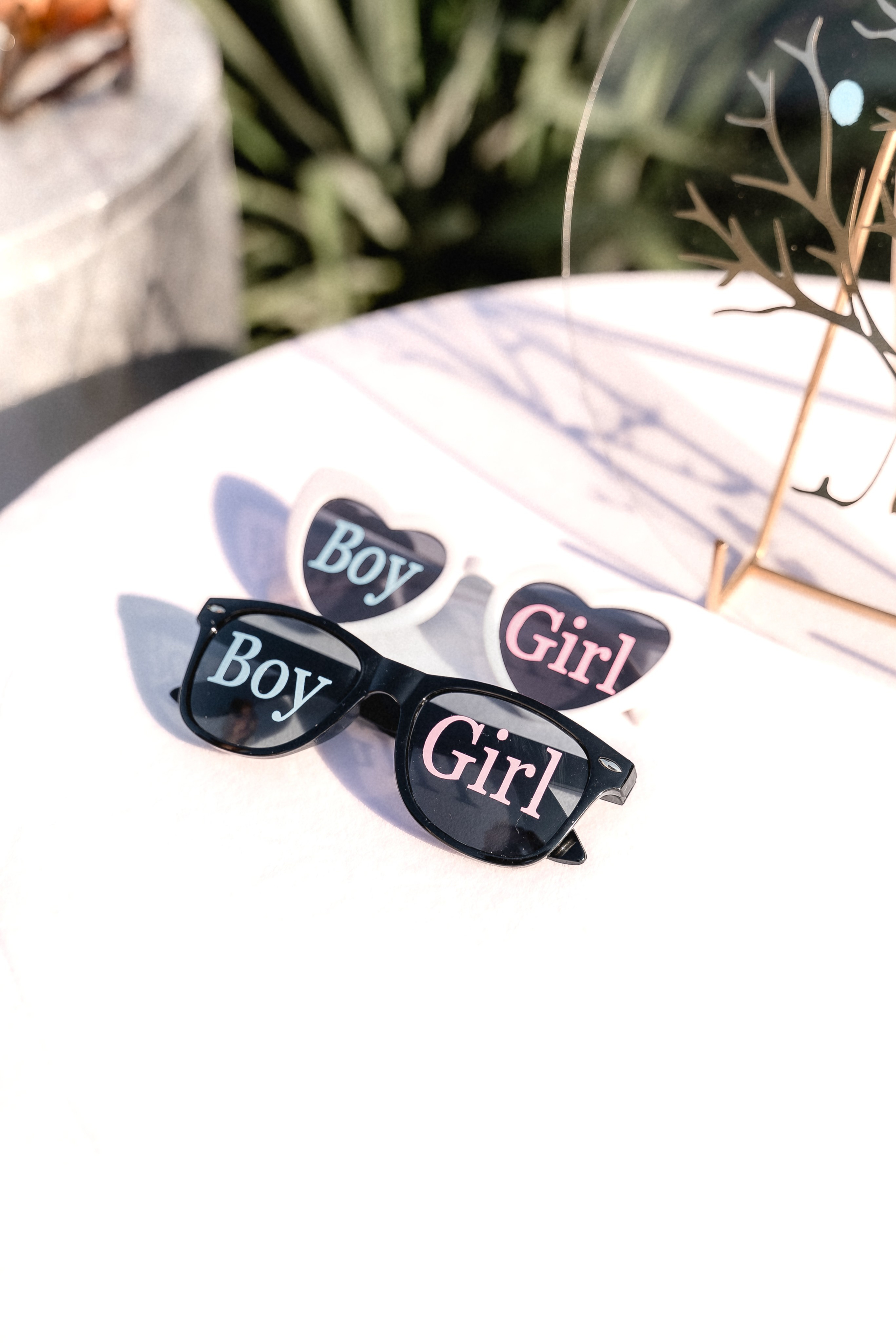 Gender Party. ST.PHOTO13