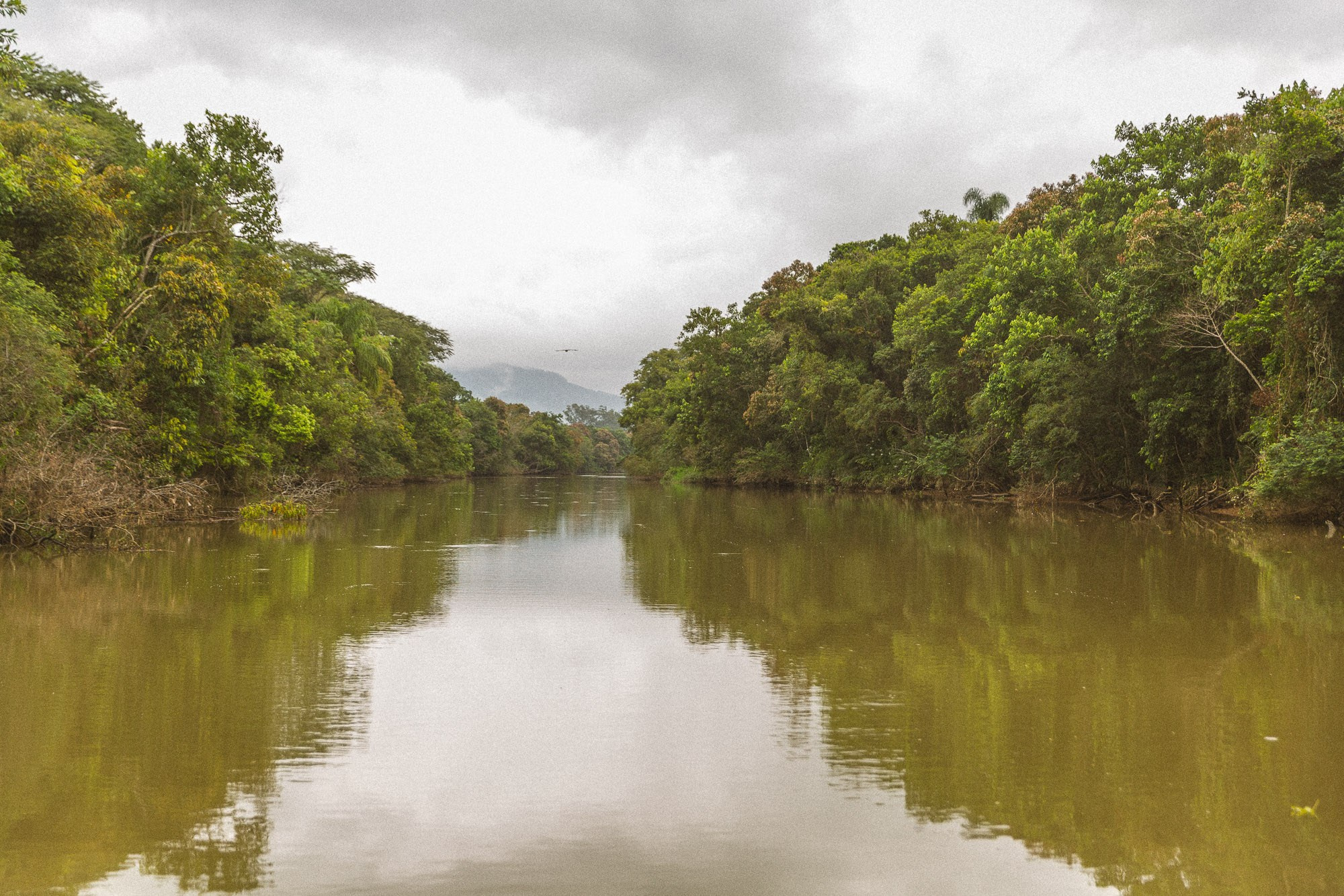 Linha D'água. Fotógrafo de casamentos em Florianópolis