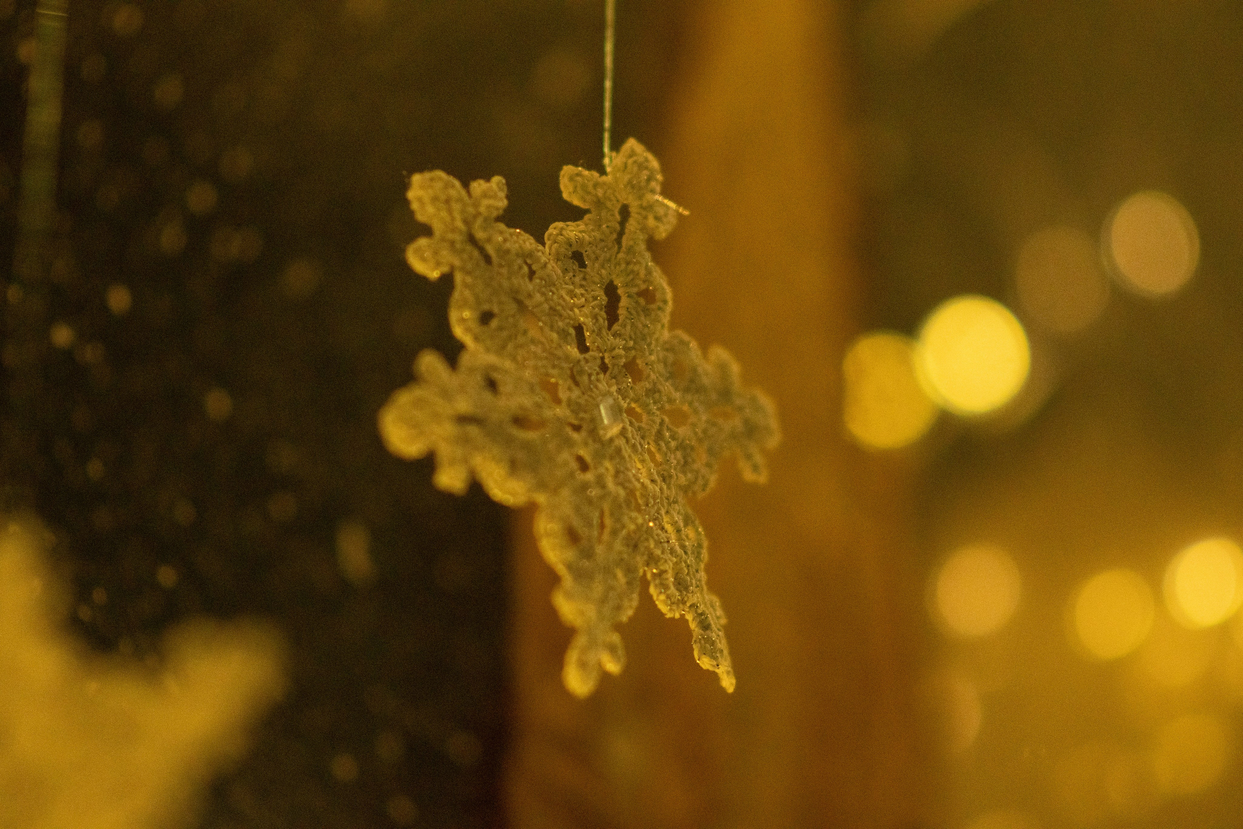 Проект. Семейный и детский фотограф