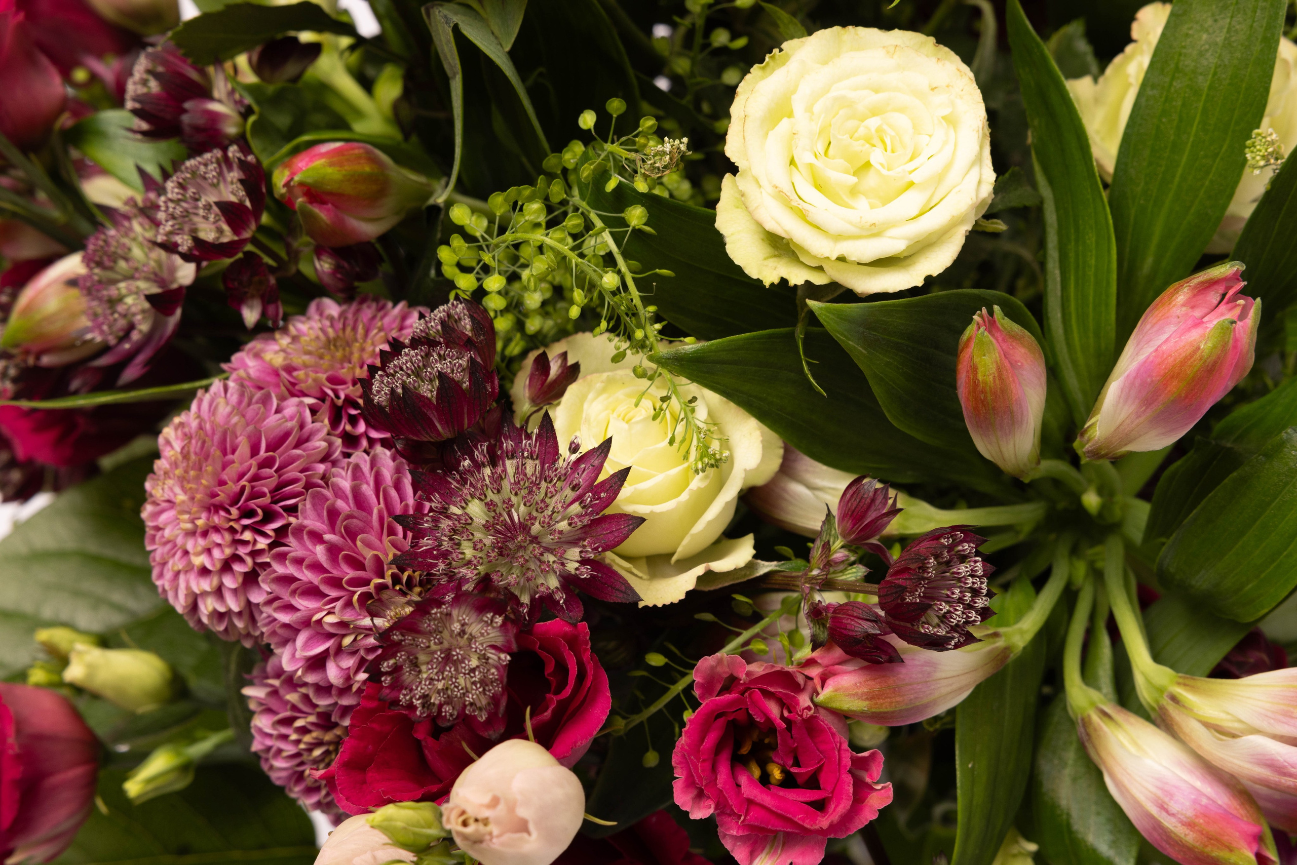 WEBSHOP BLOMSTERBUTIK. Fotograf Aarhus | Portrætfoto Århus | Flotte billeder