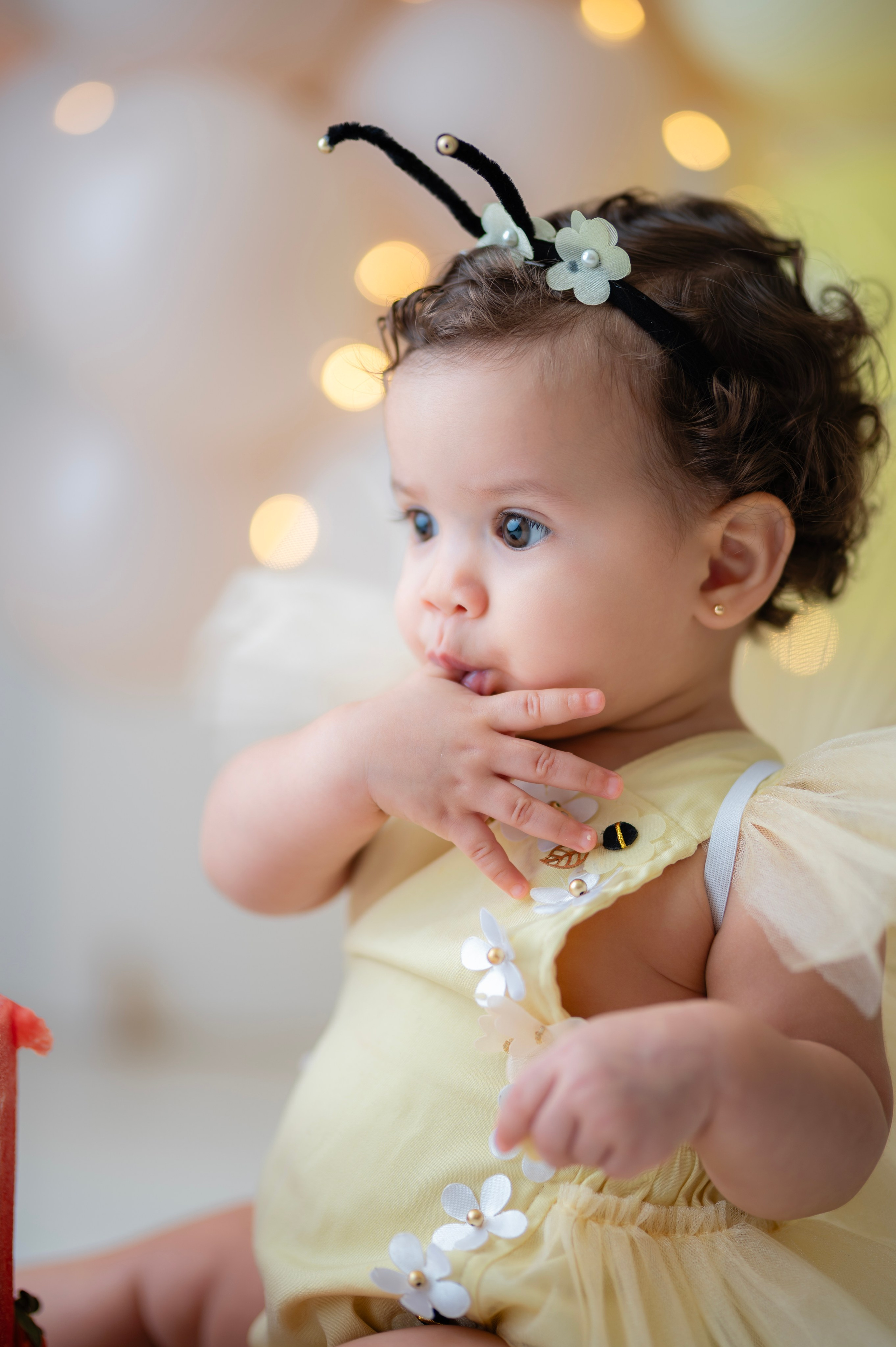 Smash. Fotografamos famílias, gestantes, bebês e ensaios individuais