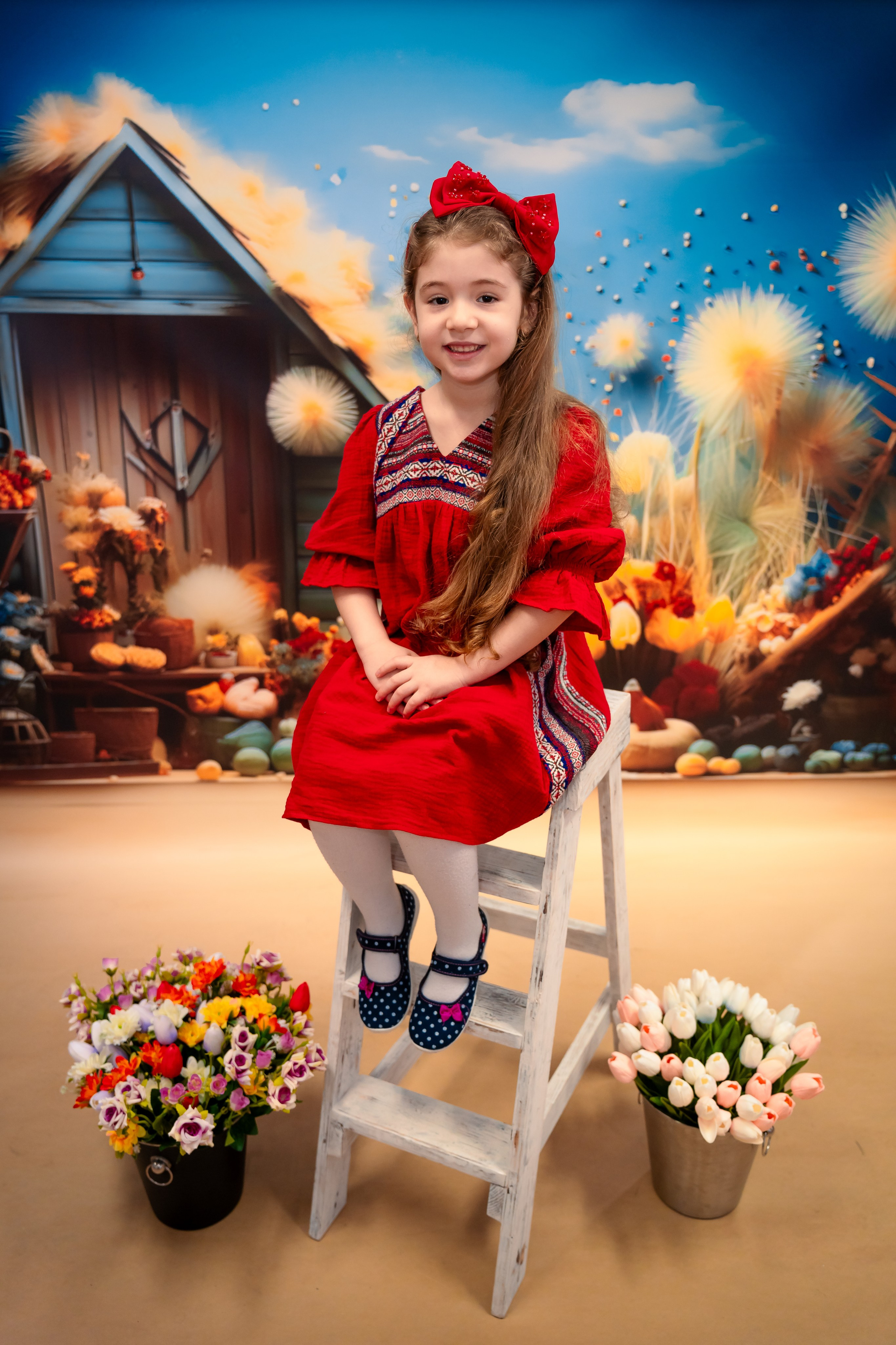 Școli și Grădinițe