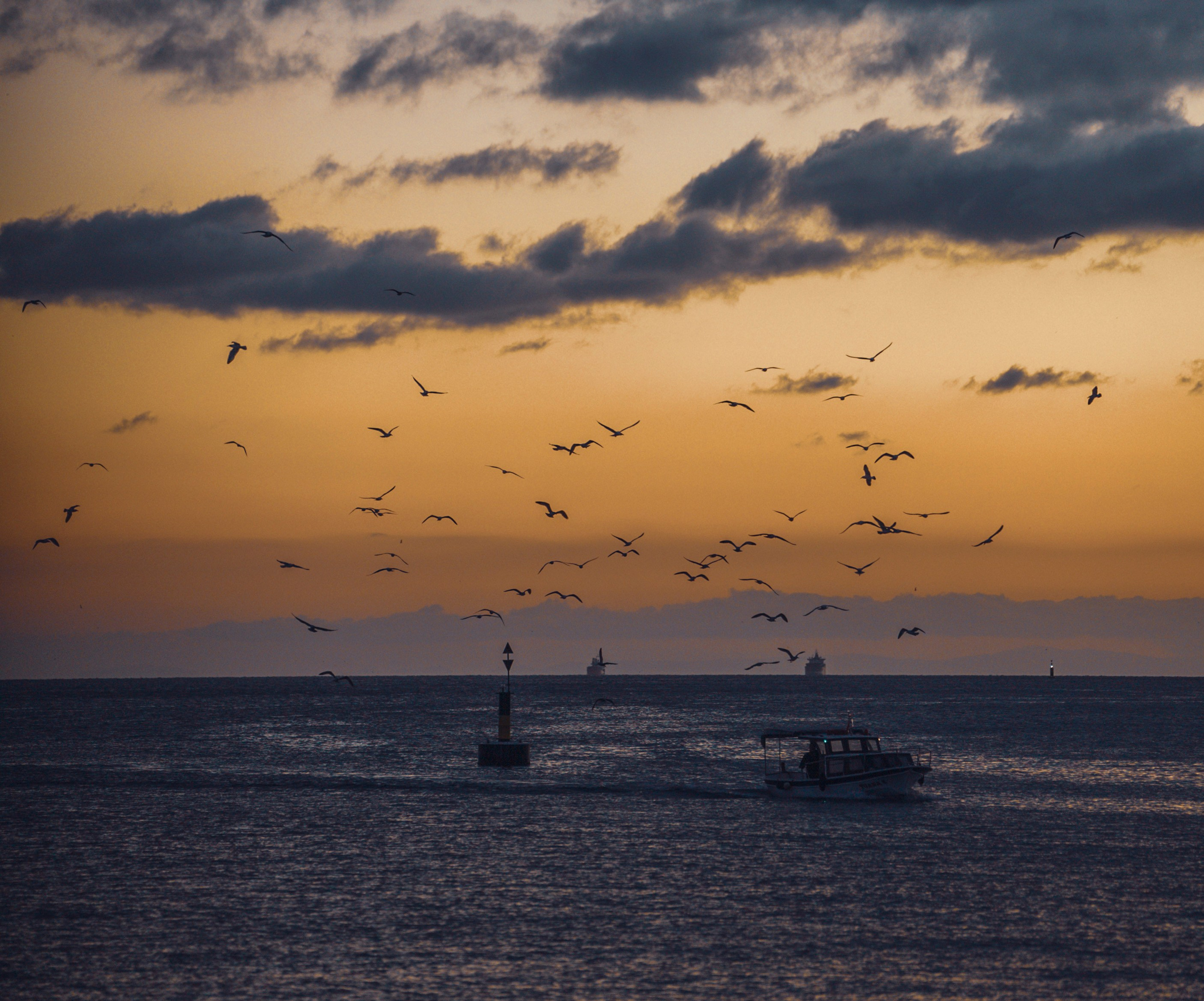 СТАМБУЛ. Стрит-фотография, полная абсурда, идиотизма и красоты