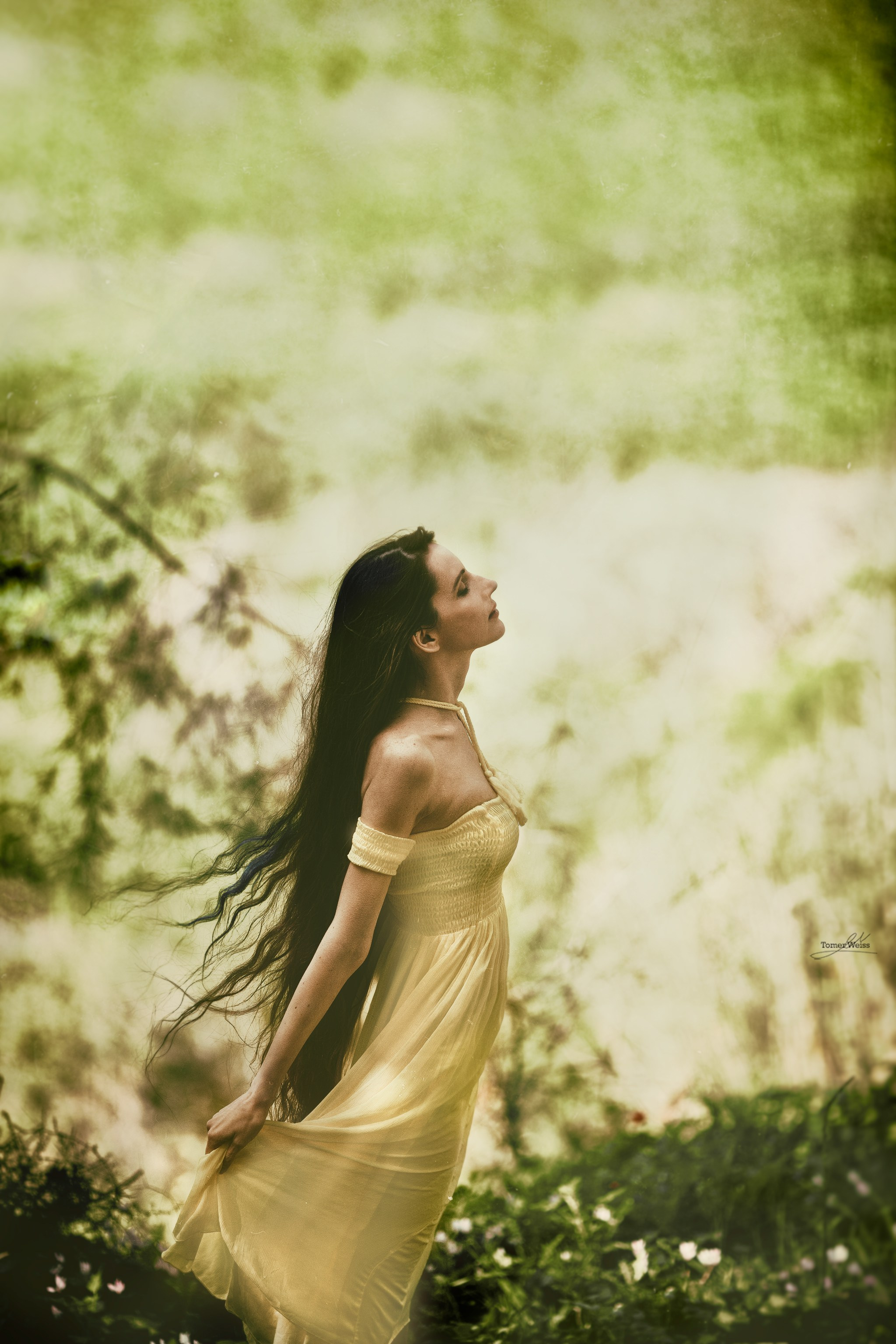 Portraits Image gallery of Tomer Weiss fine art