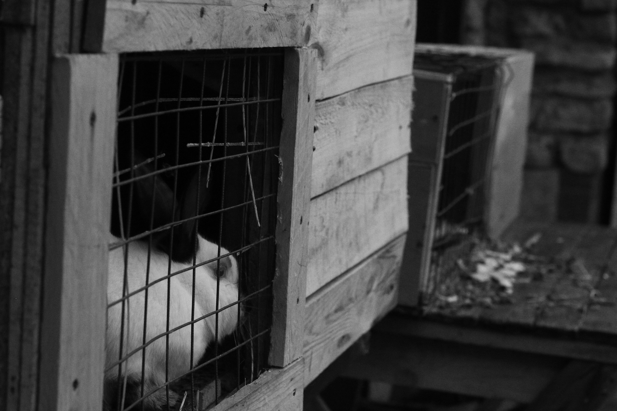 Russia, Kazan. Art Photographer