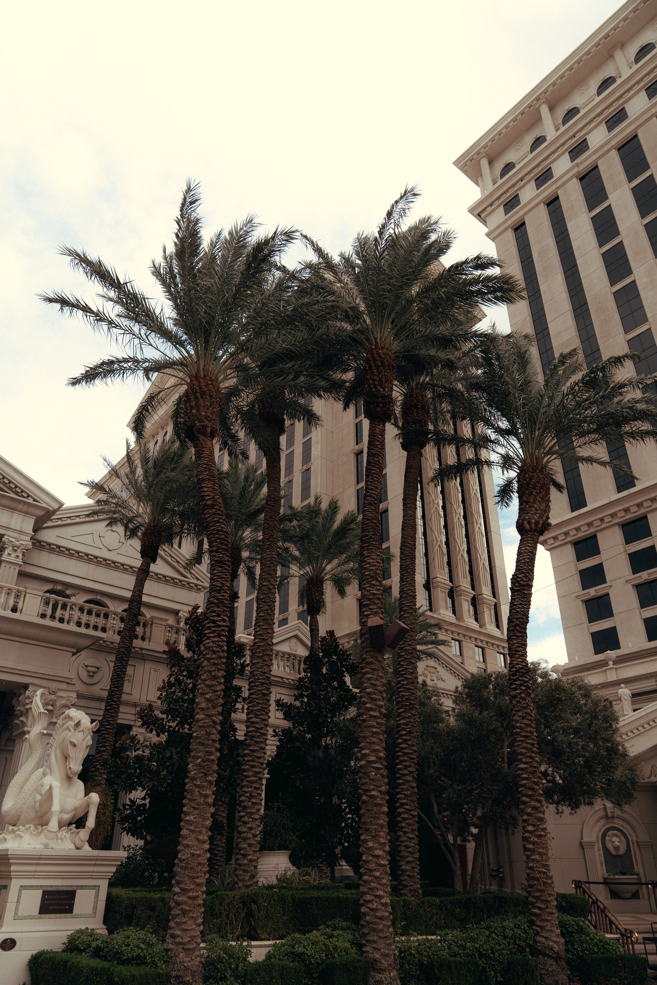 Aaron&Wenjing. Wedding & elopement photographer Viktoriya Kravtsov. Las Vegas