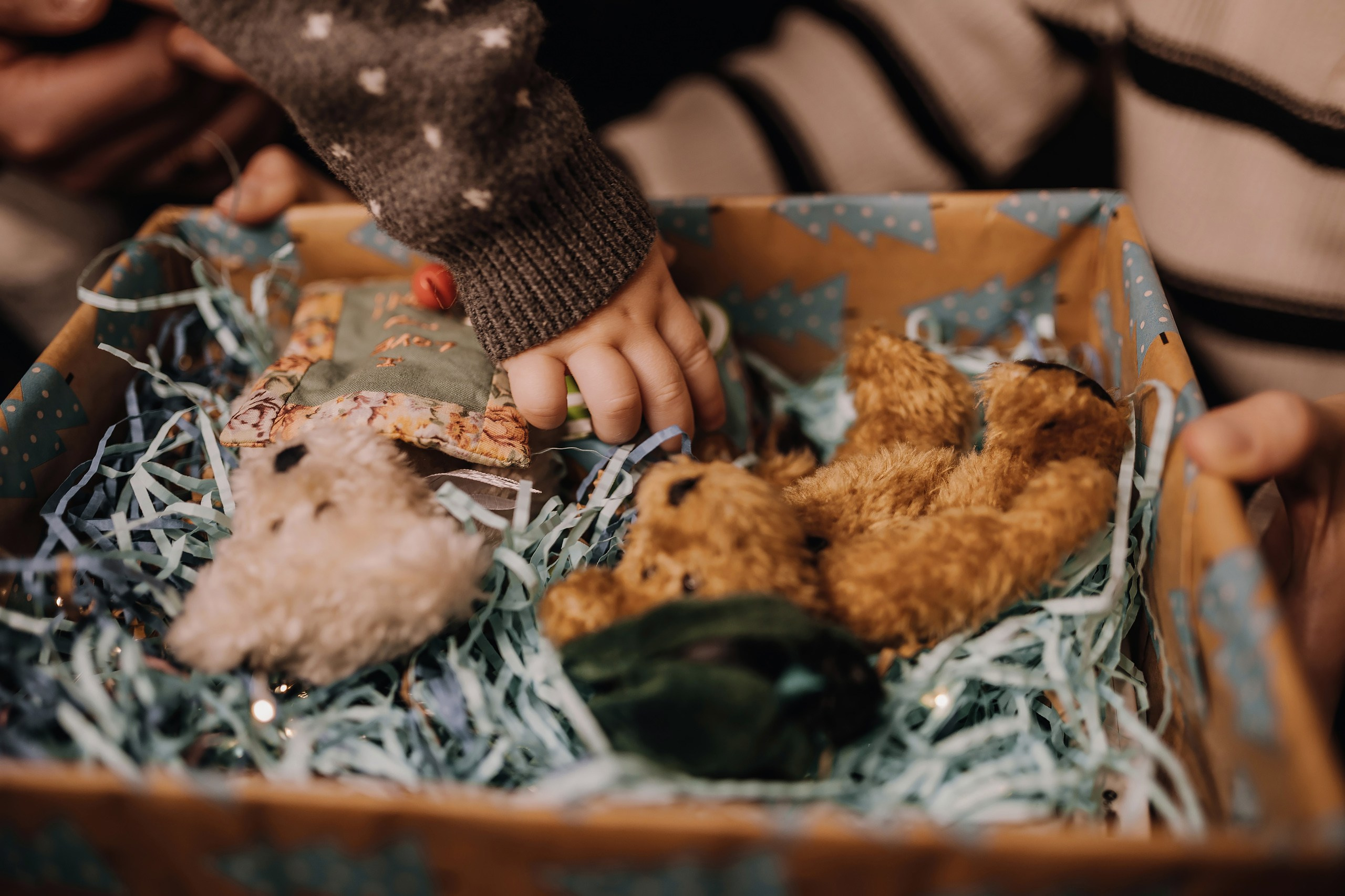 03.12.2023 Christmas Photoshoot. Wedding family event photographer in Chicago Nick Yushevich