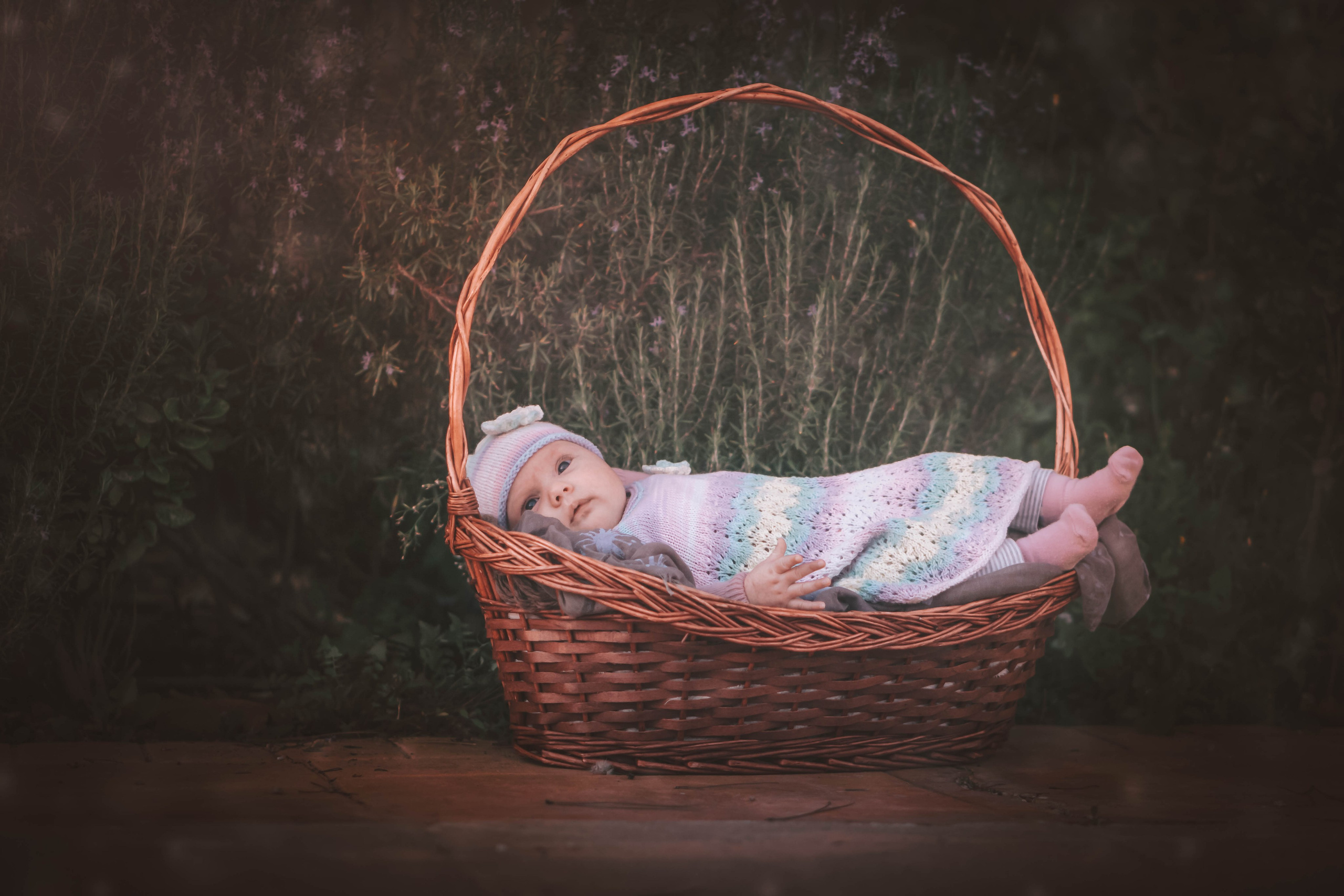 Olivia. Alba del Norte Studio