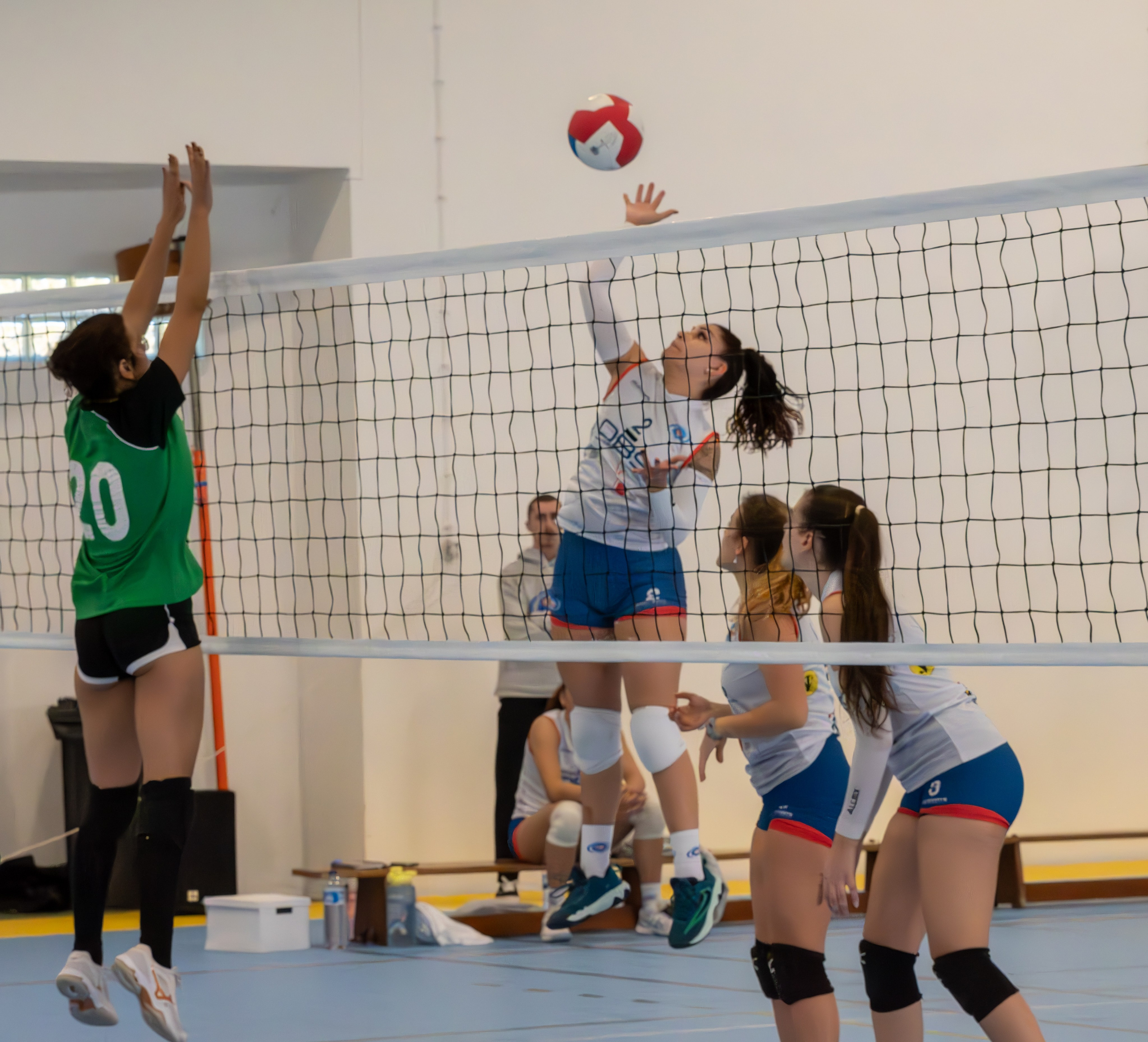 Volei. Prime_Frame_Studio