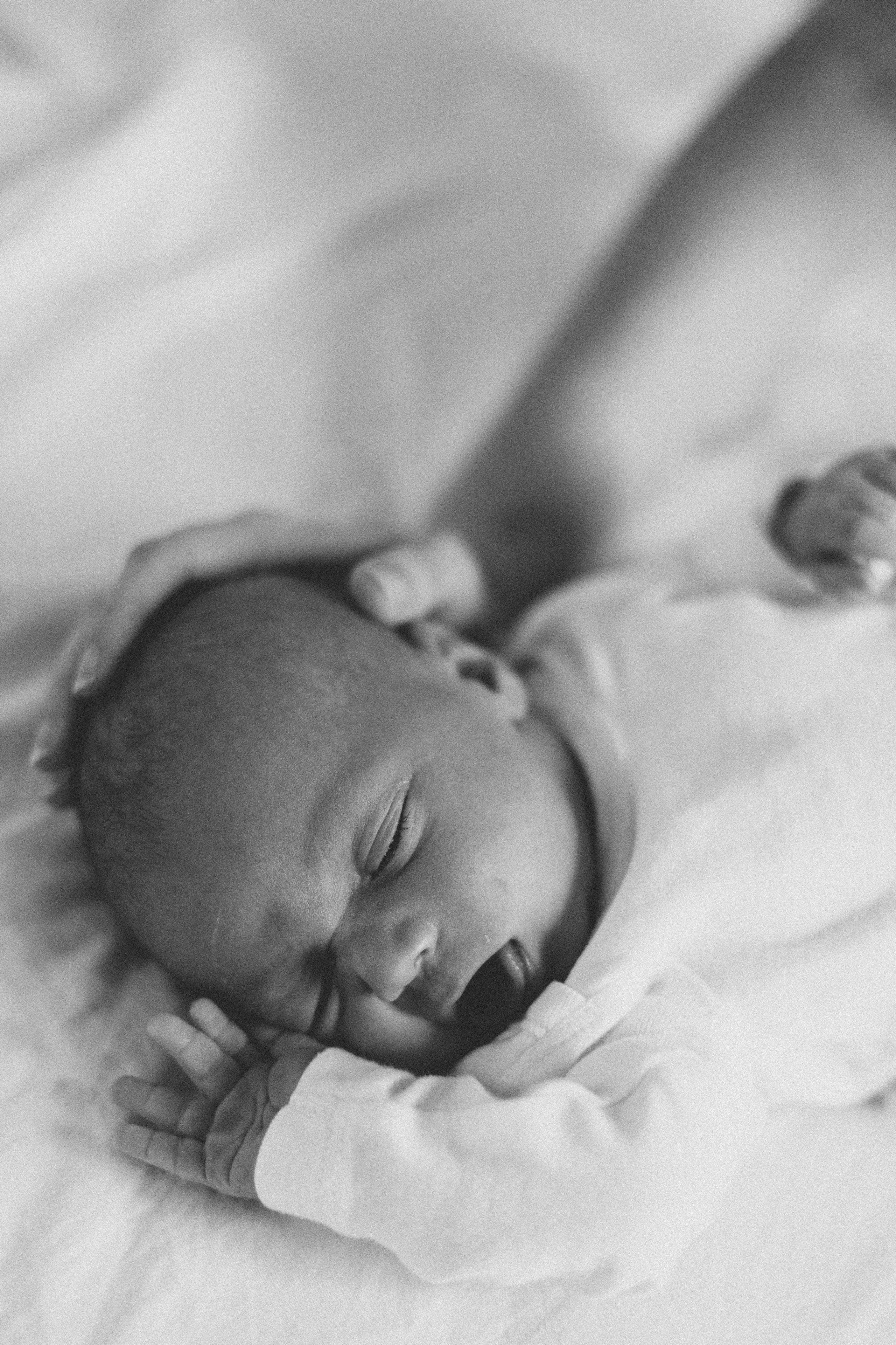 Shayne, Alon, Yanay&Kedem