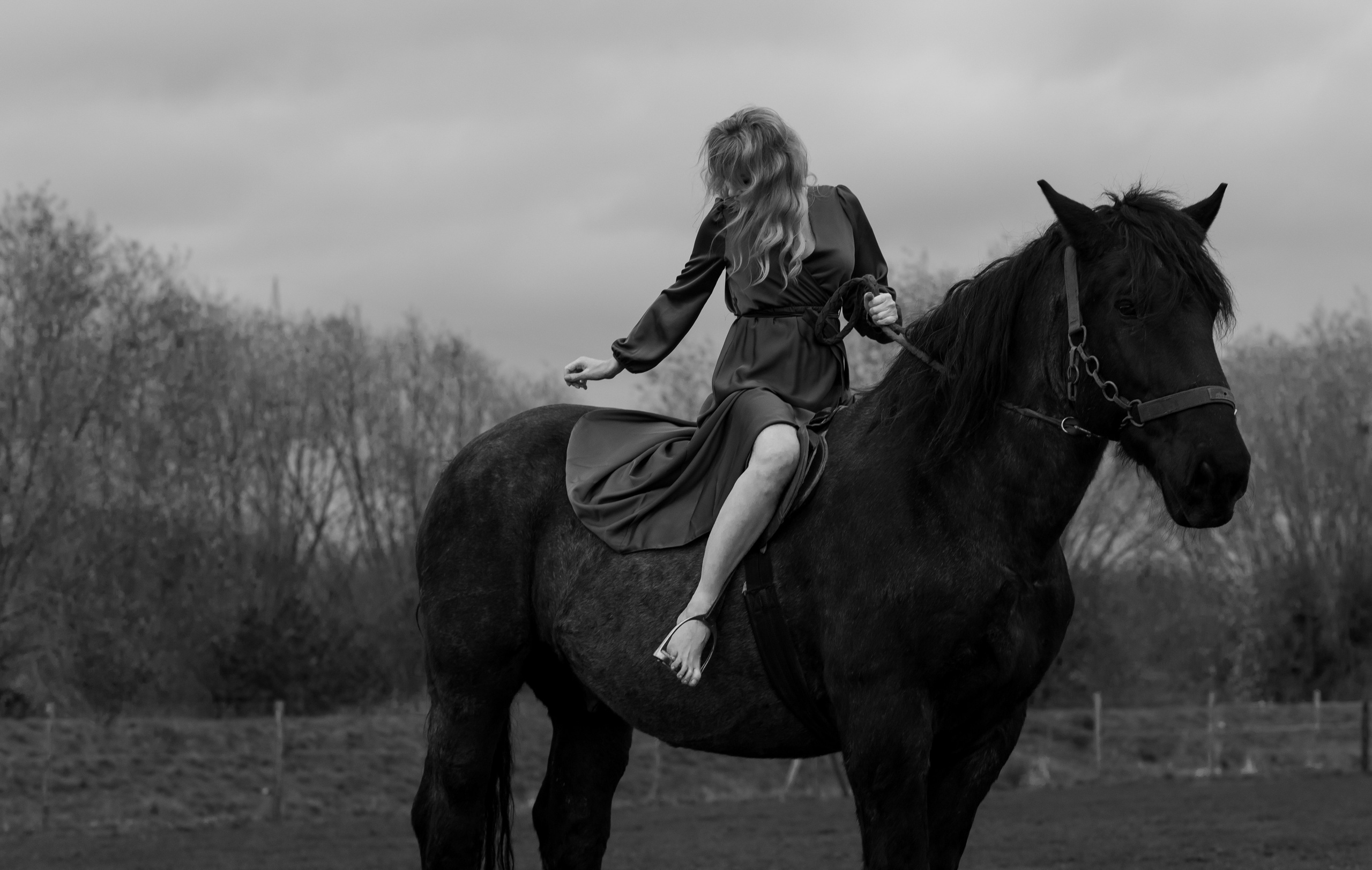 Photoshoot with Horses. Professional Photograher, Antwerpen/Belgium