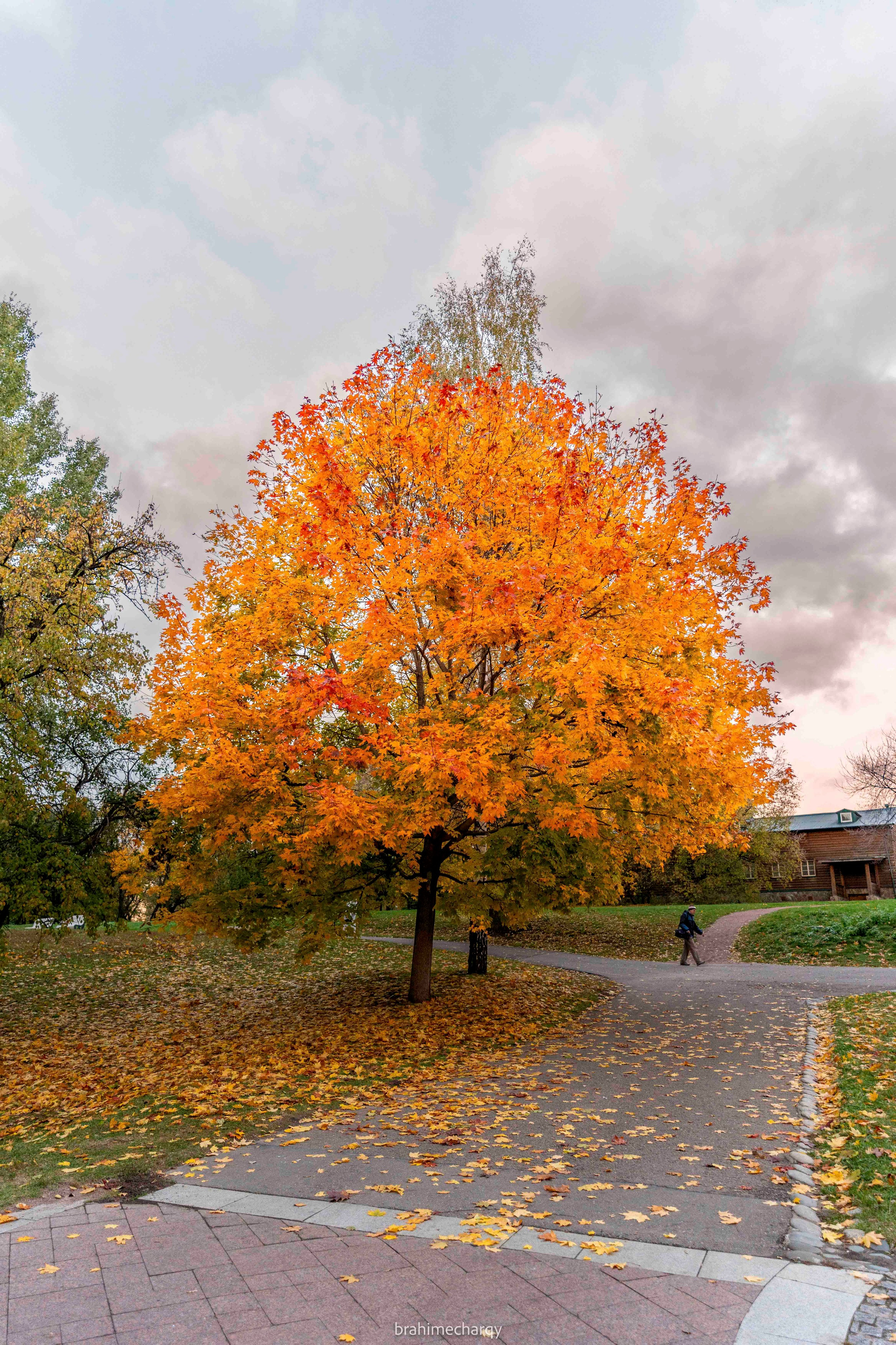 Фото. Брахим — фотограф