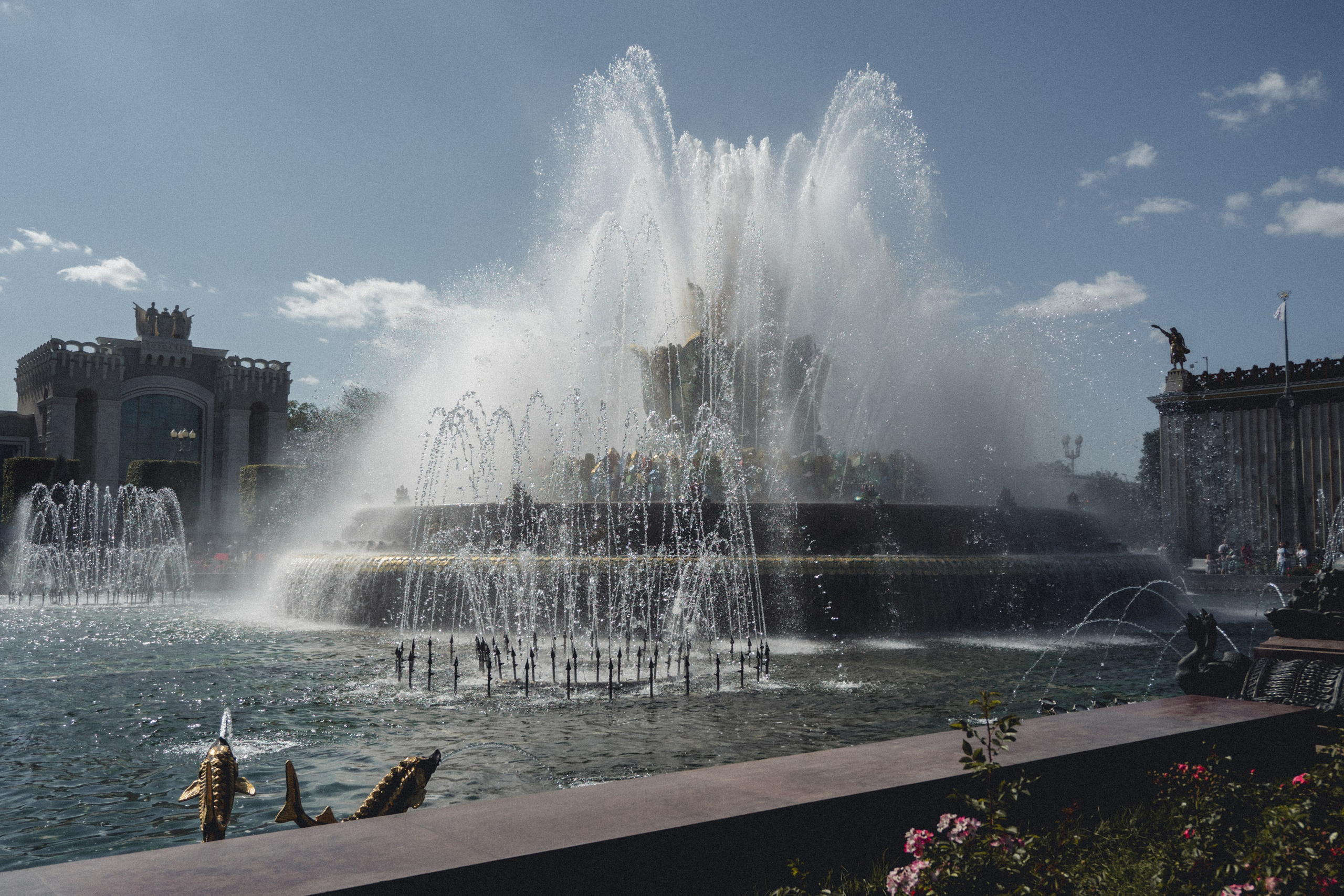ВДНХ и Ботанический сад. Семейный и детский фотограф на Лазурном Берегу