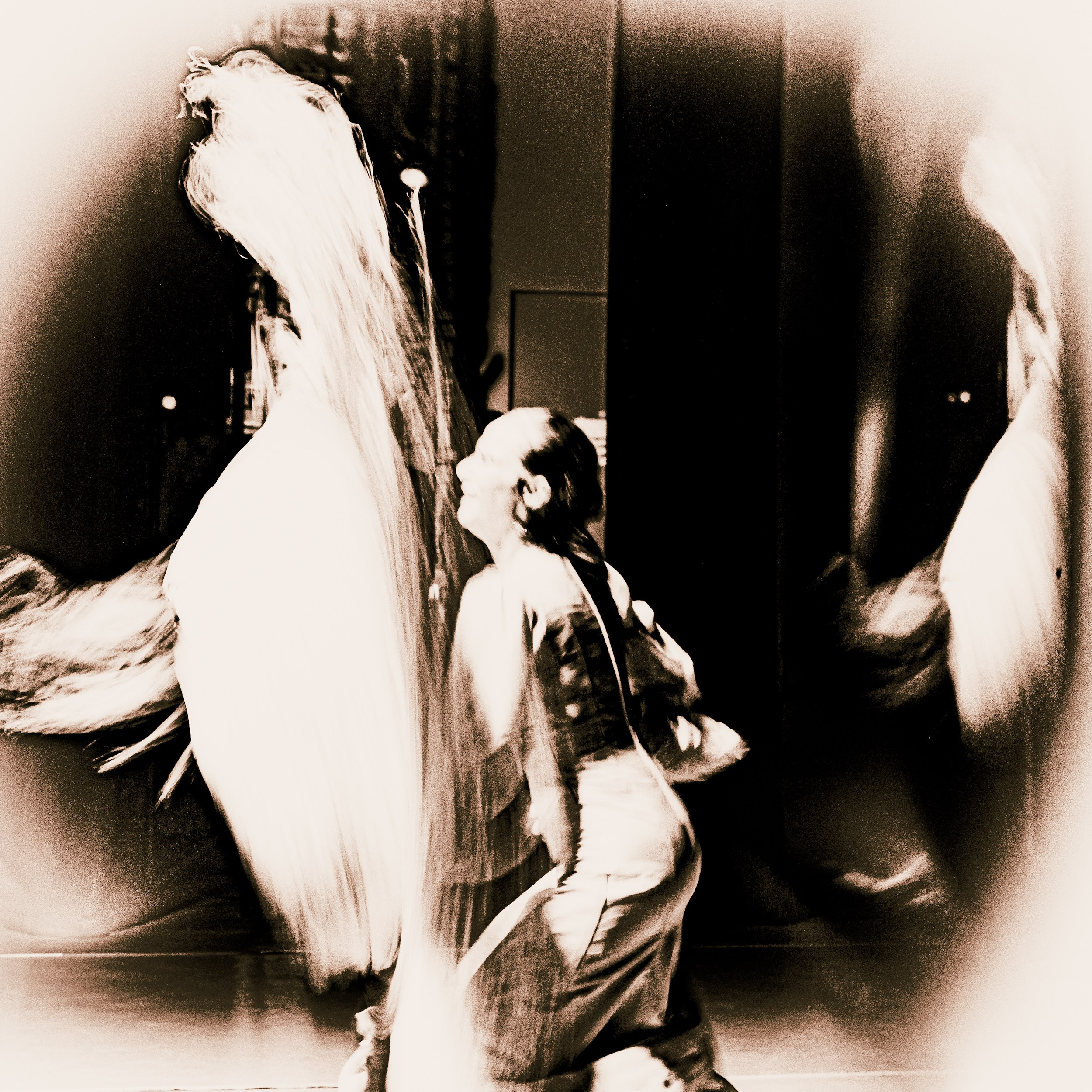 Flamenco spots. Ekaterina Tsurkina-Appina Photography Canada