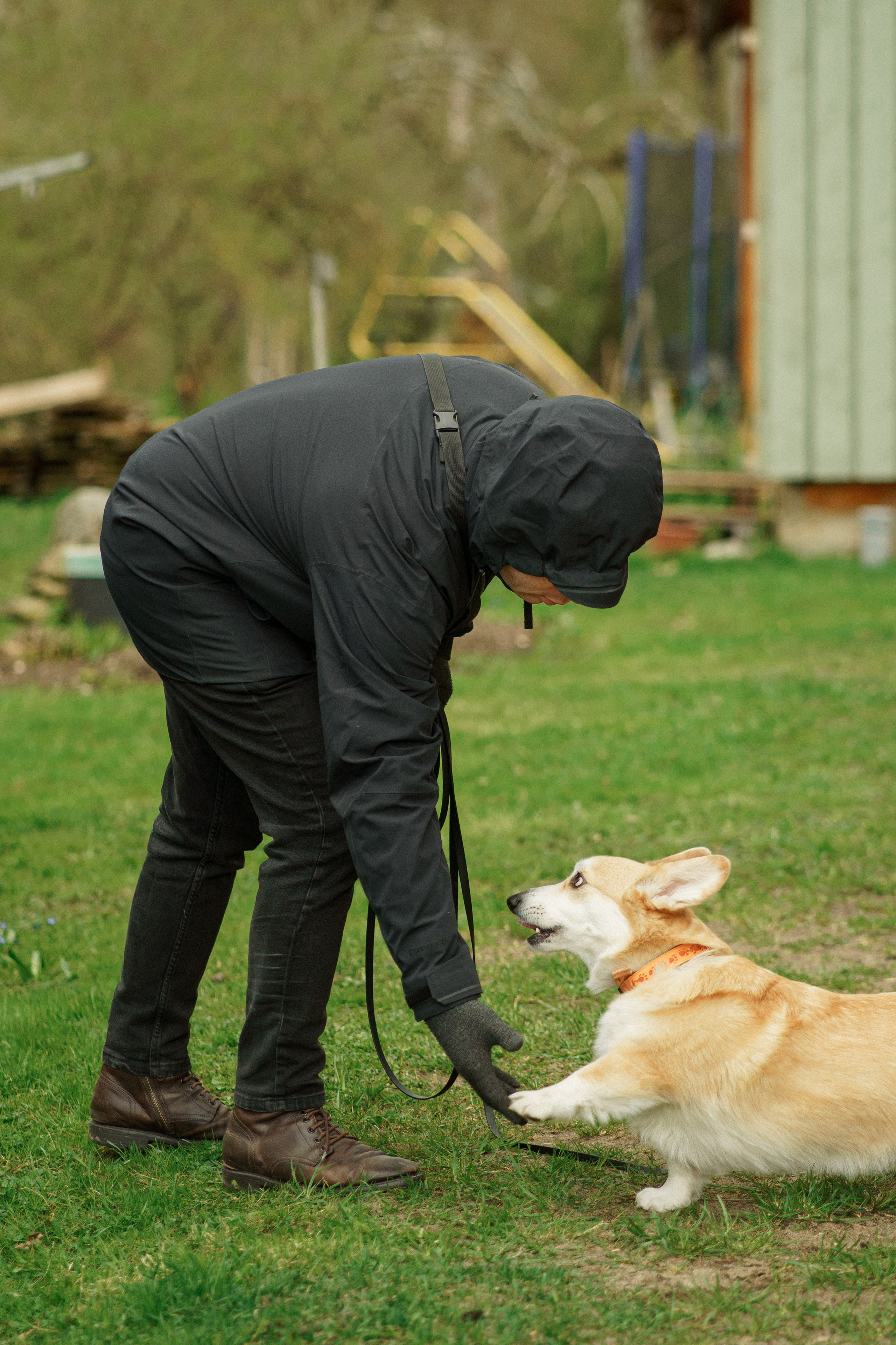 Herding Days, 26 apr. 2025. Kat Laisaar — Pet photographer in Tallinn