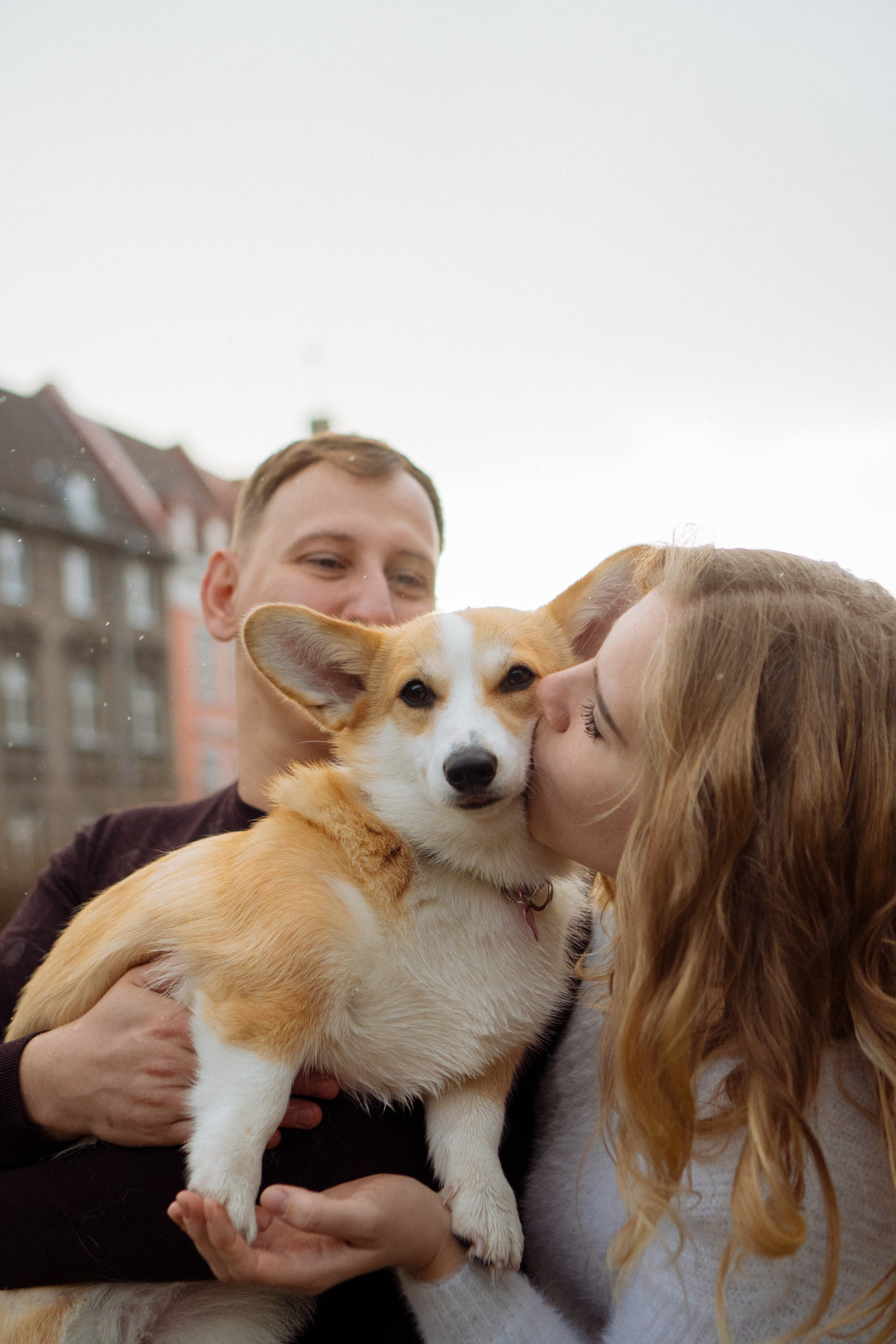 Maarika, Jegor and their Luna, Pembroke Welsh Corgi. Kat Laisaar — Pet photographer in Tallinn
